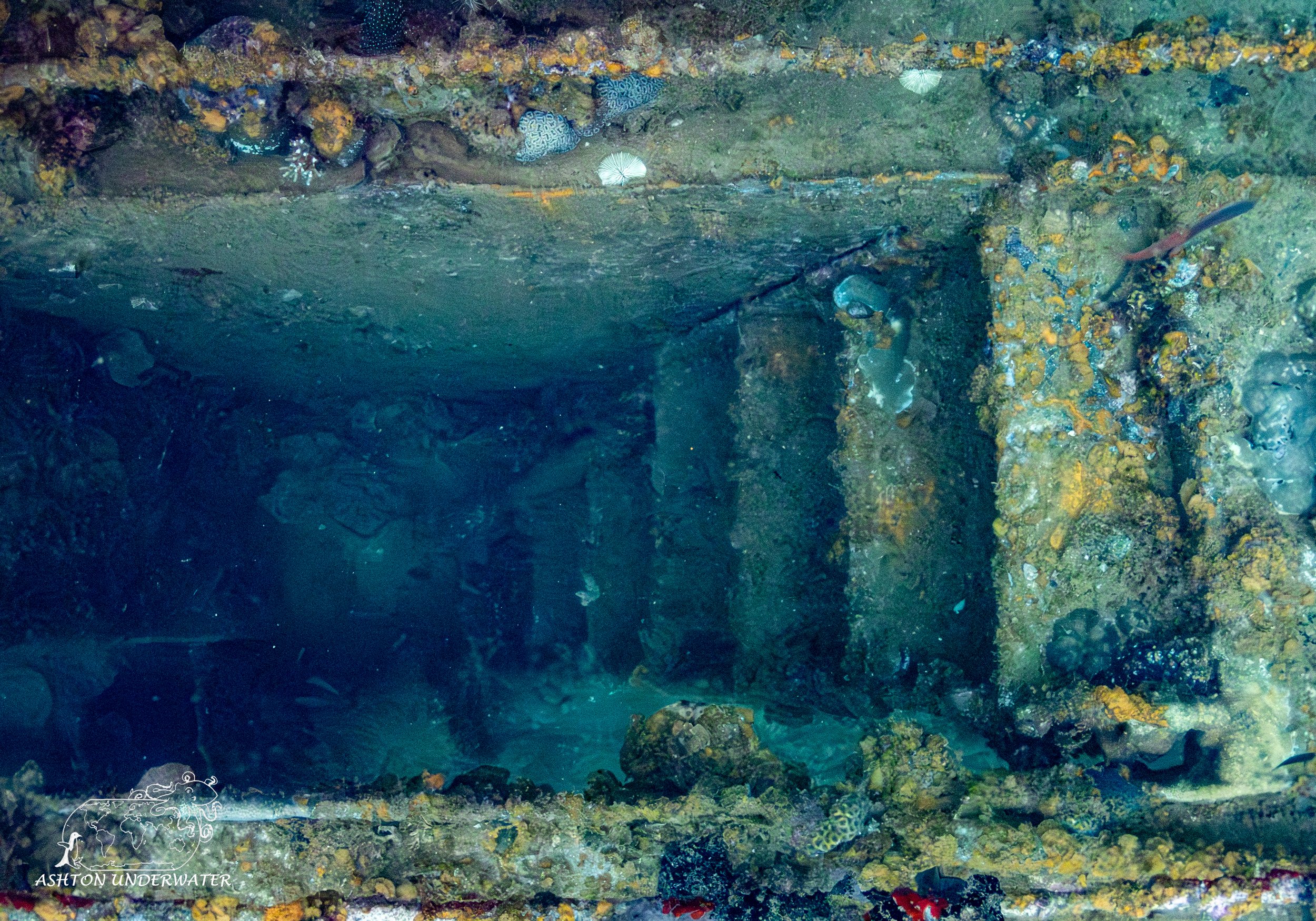 Ship Graveyard-23.jpg