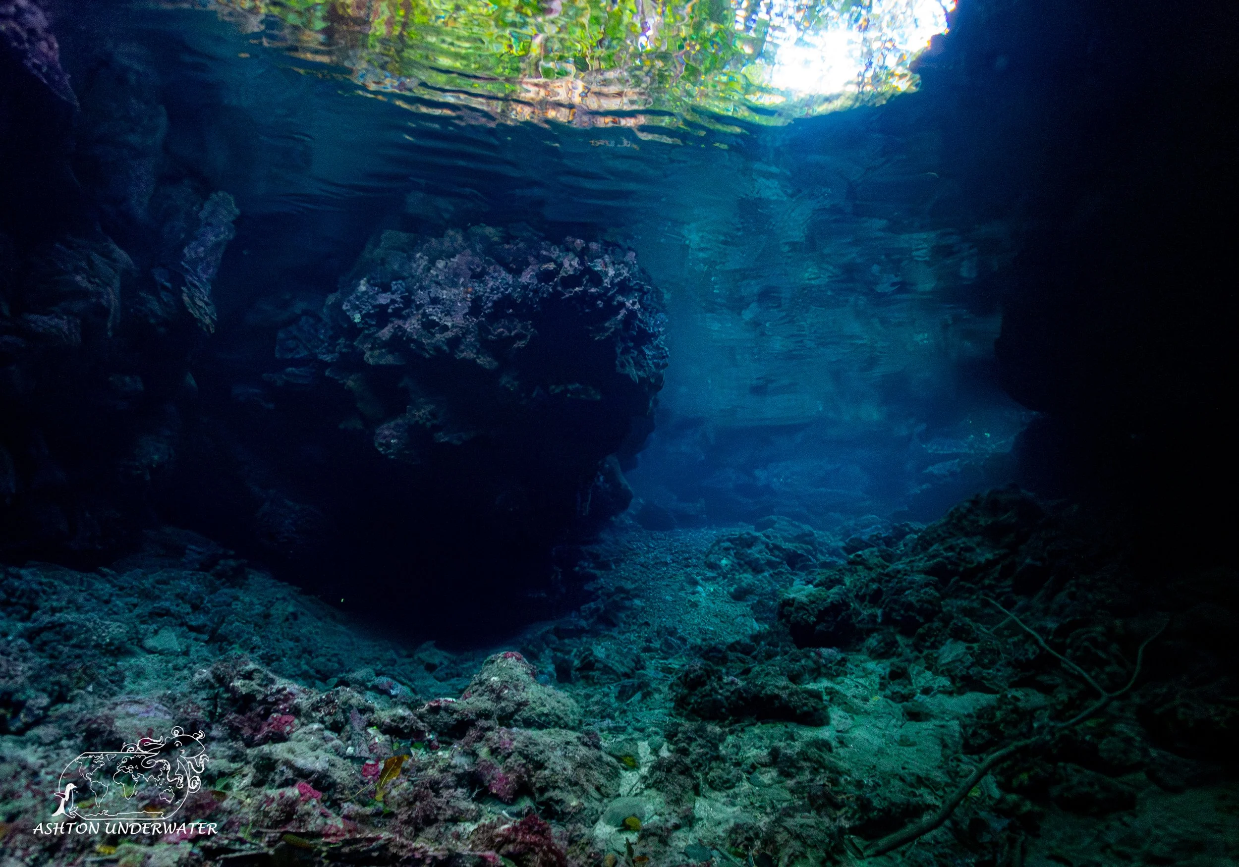 Mirror Pool-8.jpg