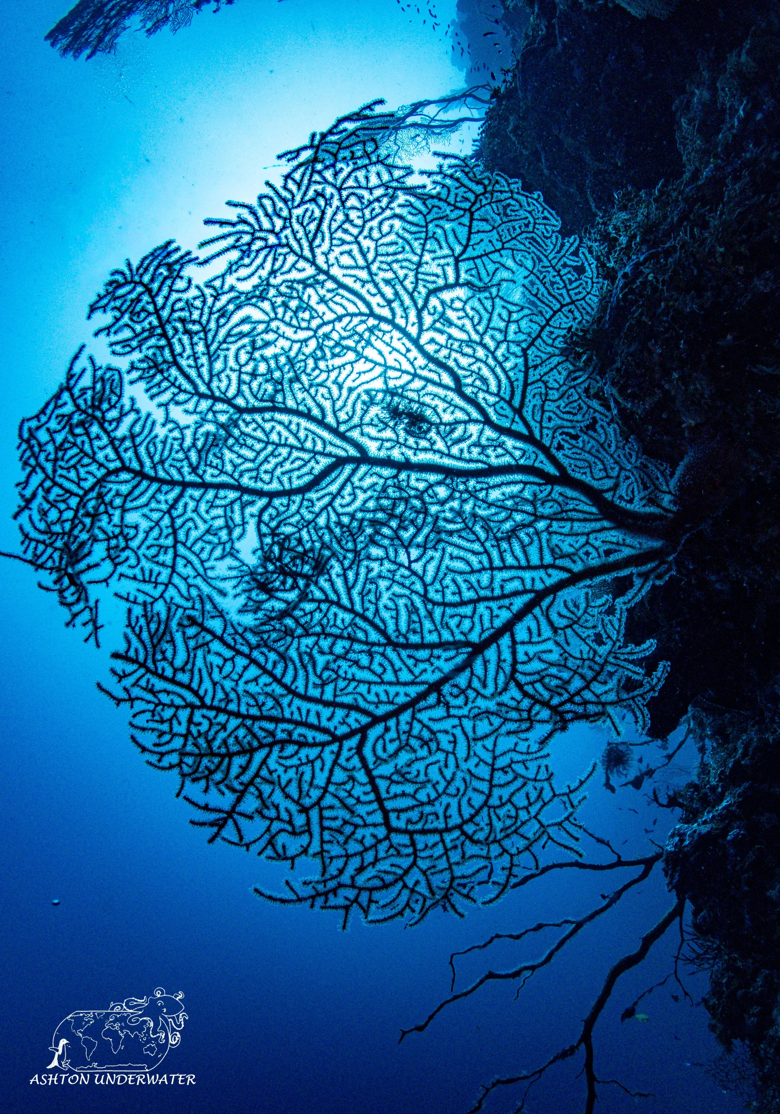 Mirror Pool-18.jpg