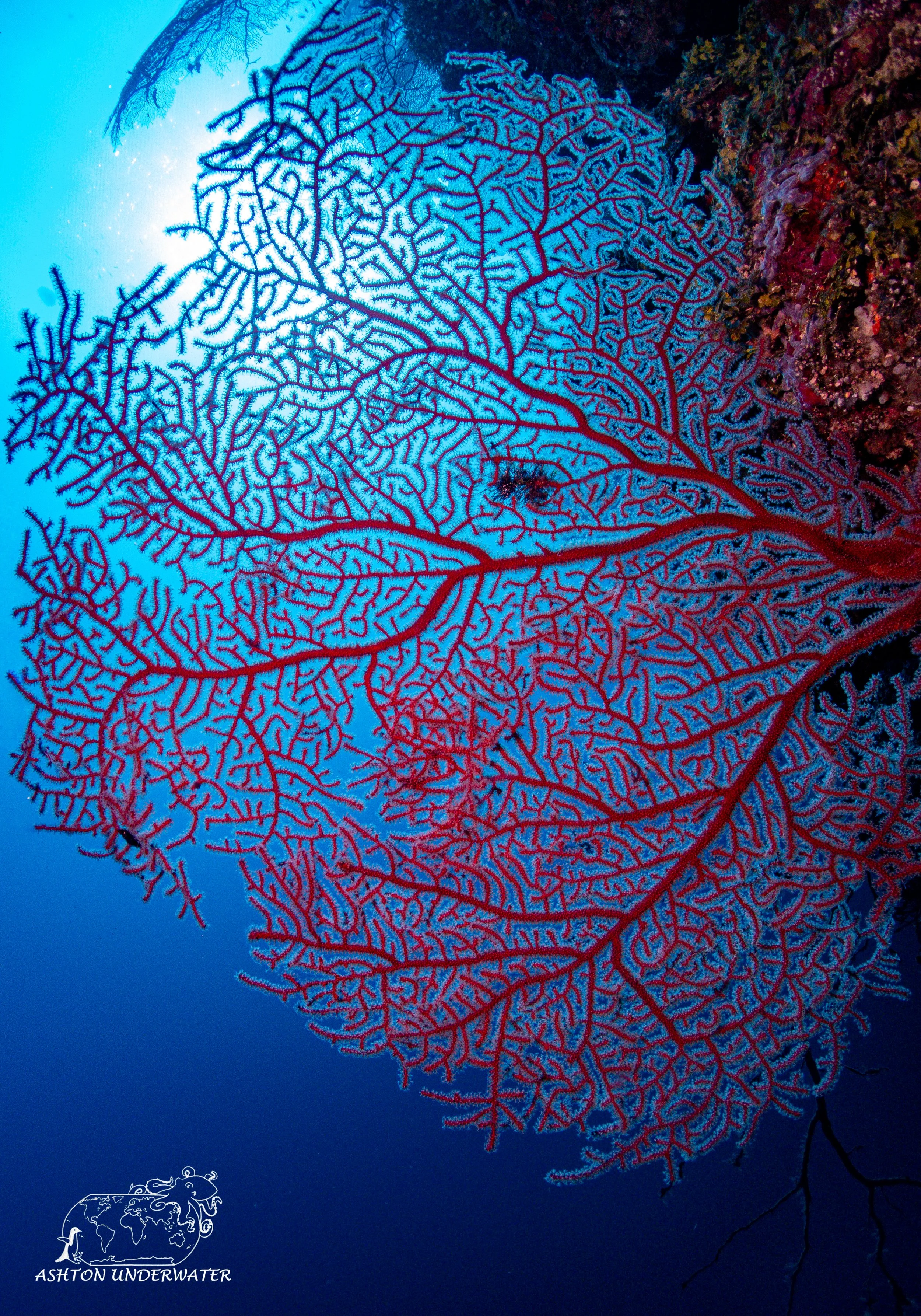 Mirror Pool-19.jpg