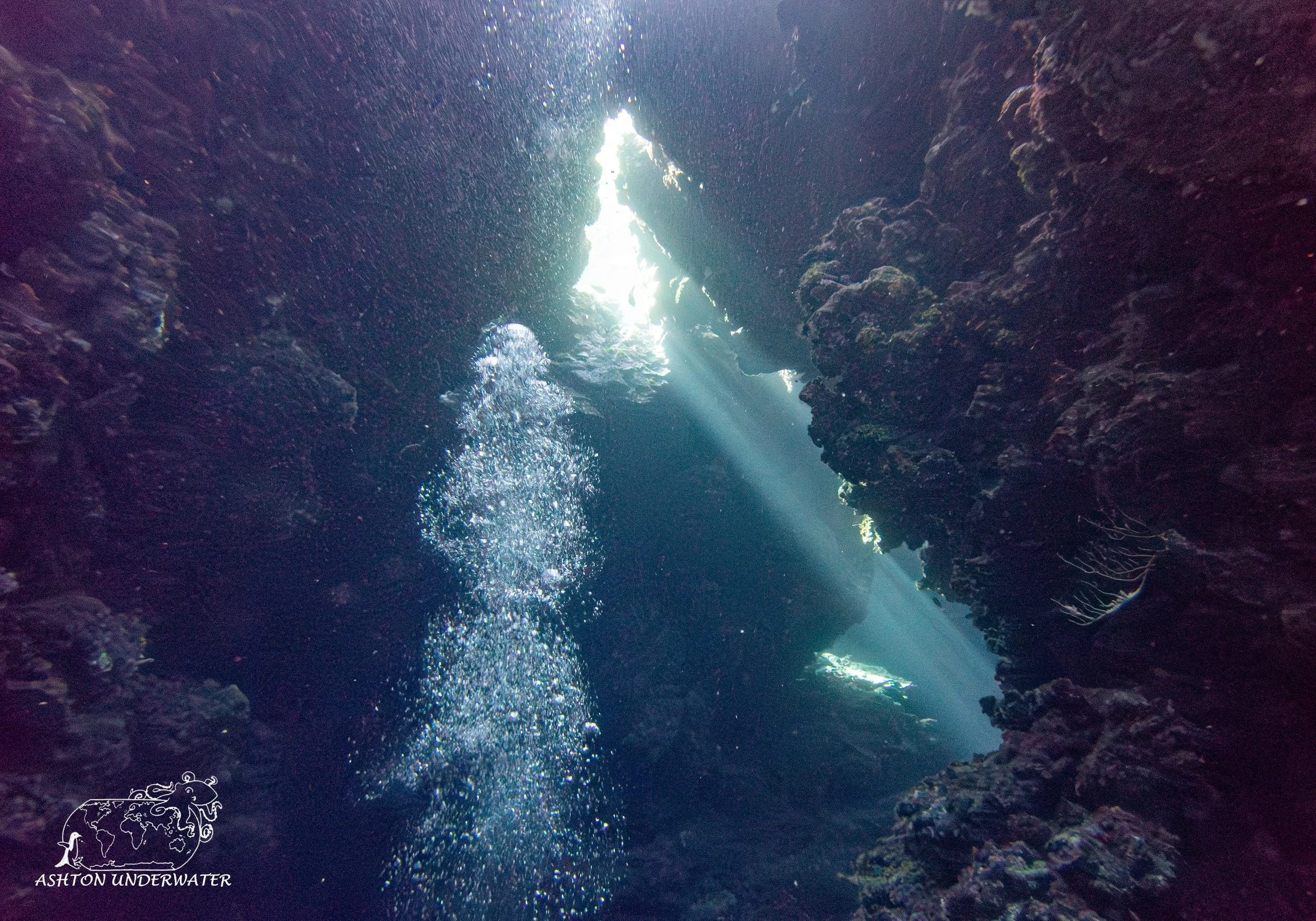 Mirror Pool-20.jpg