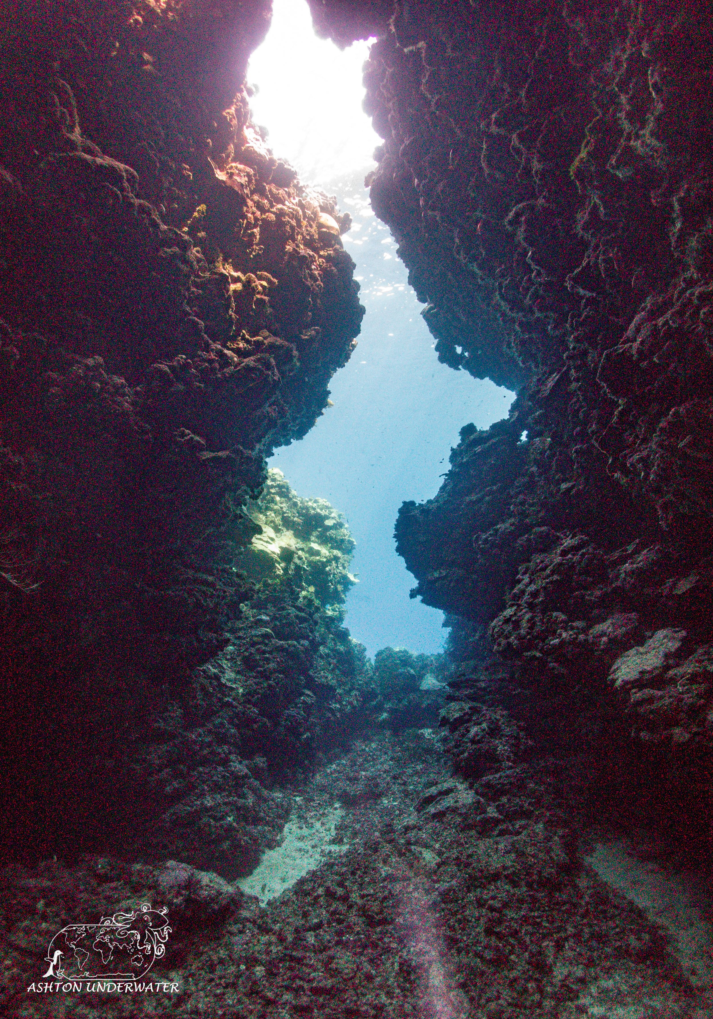Mirror Pool-22.jpg
