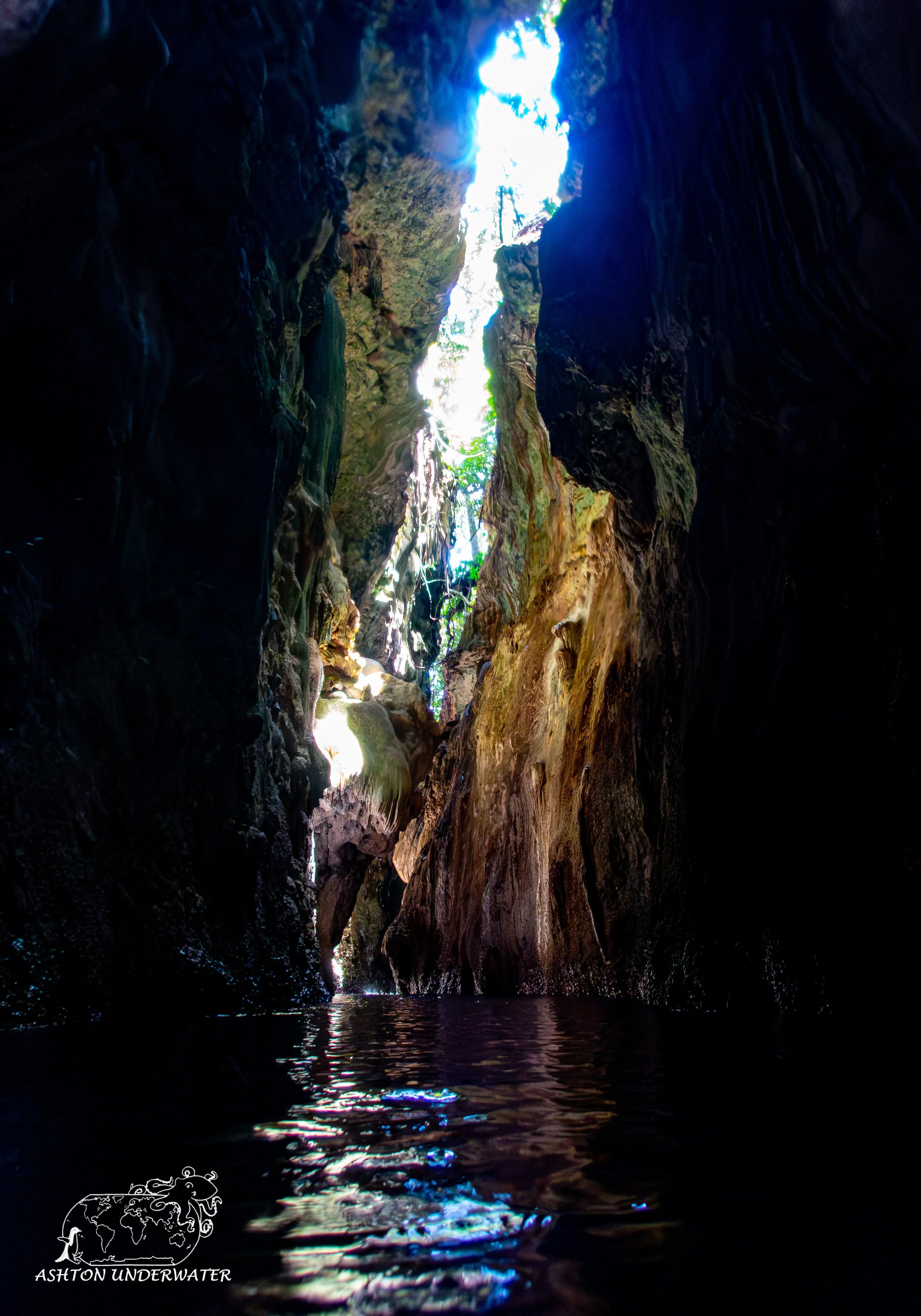 LeLu Cut-8.jpg