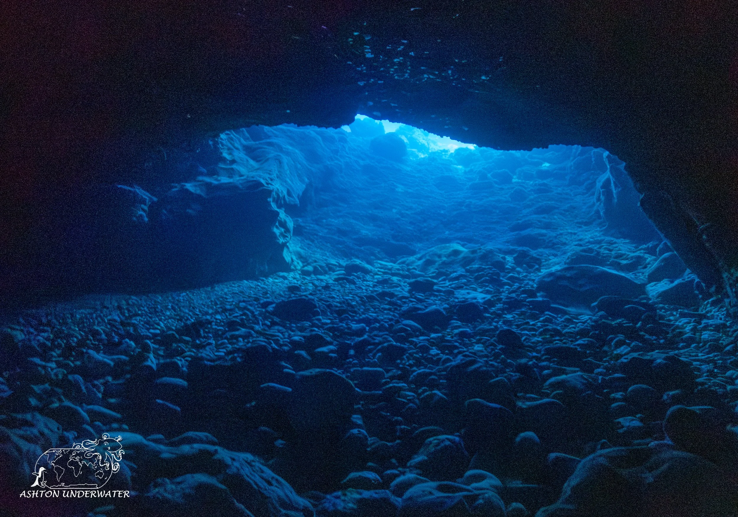 Custom Cave-10.jpg