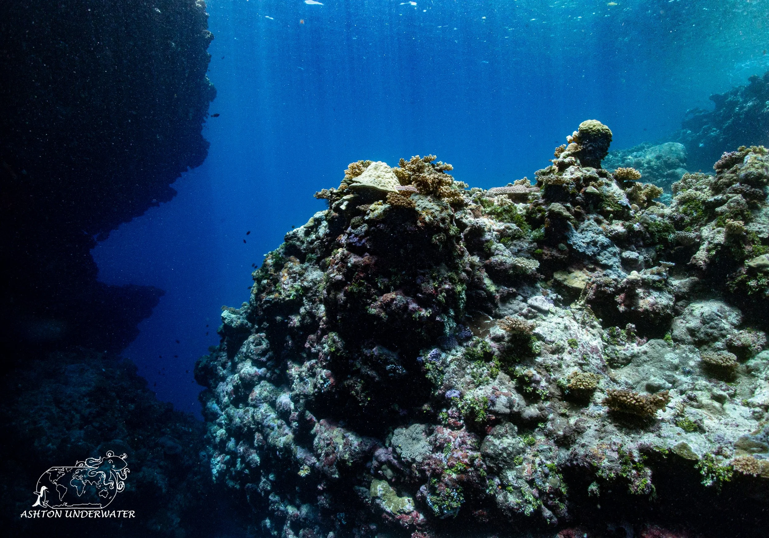 Custom Cave-23.jpg