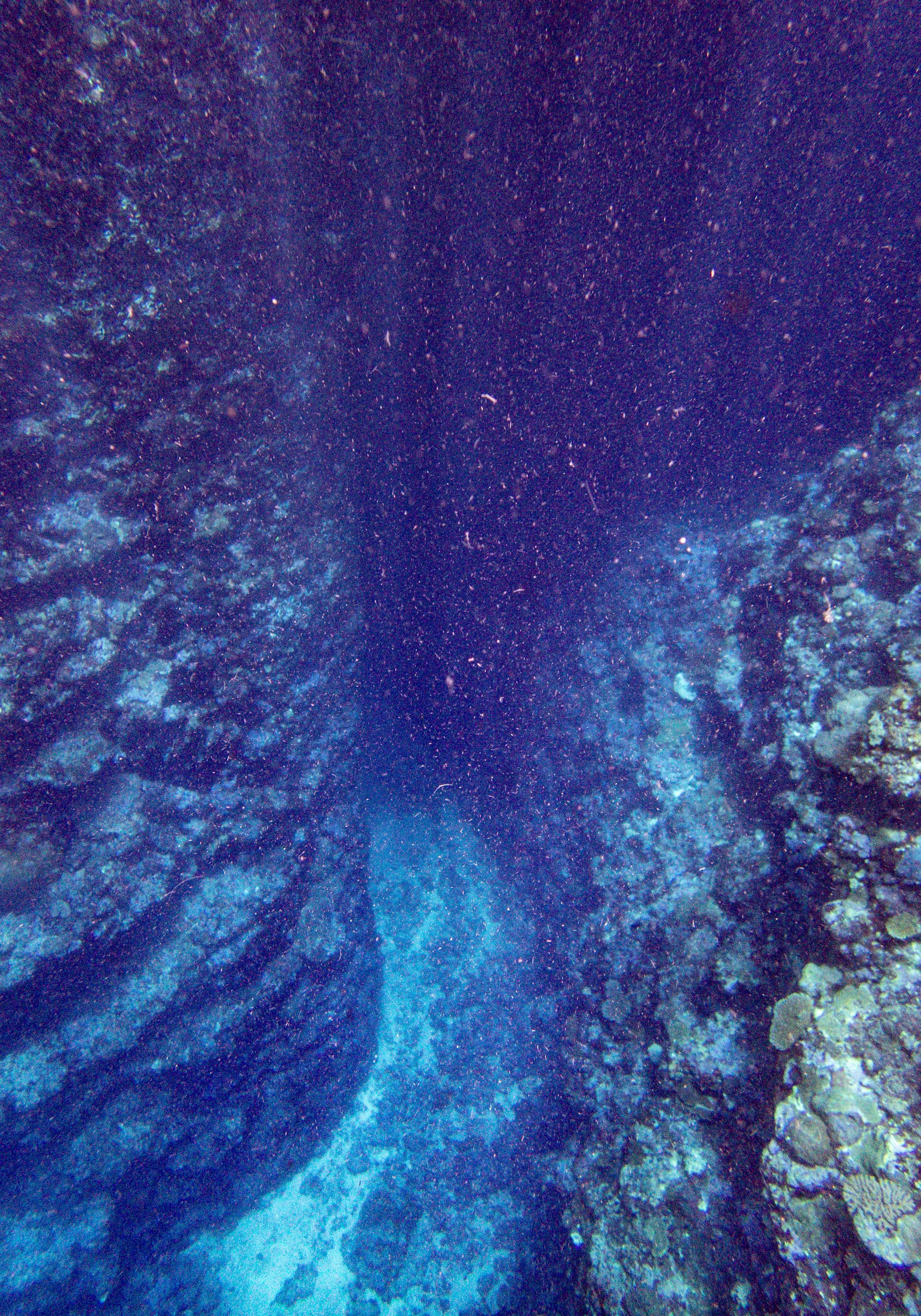 Bat Cave-2-2.jpg