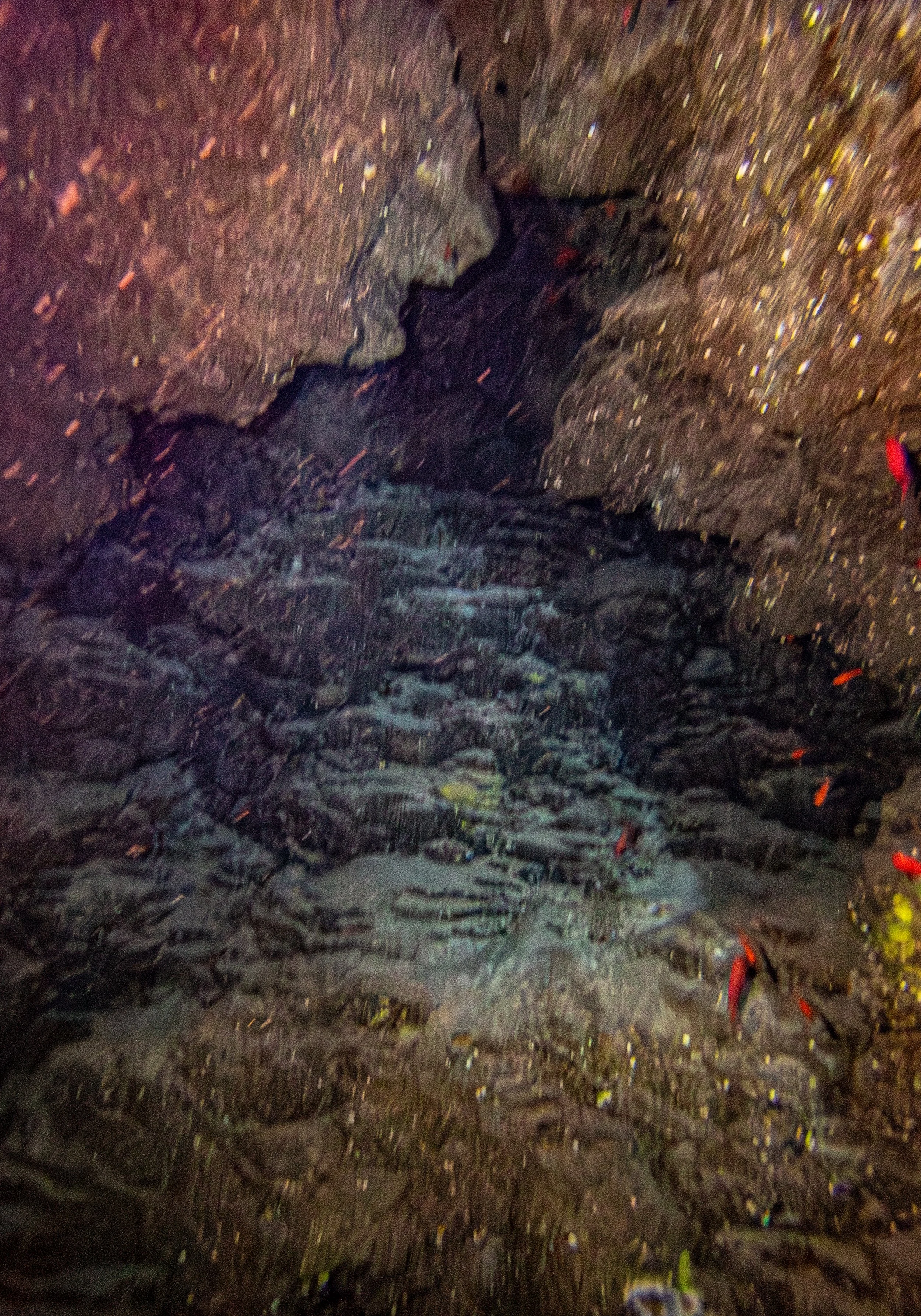 Bat Cave-4-2.jpg