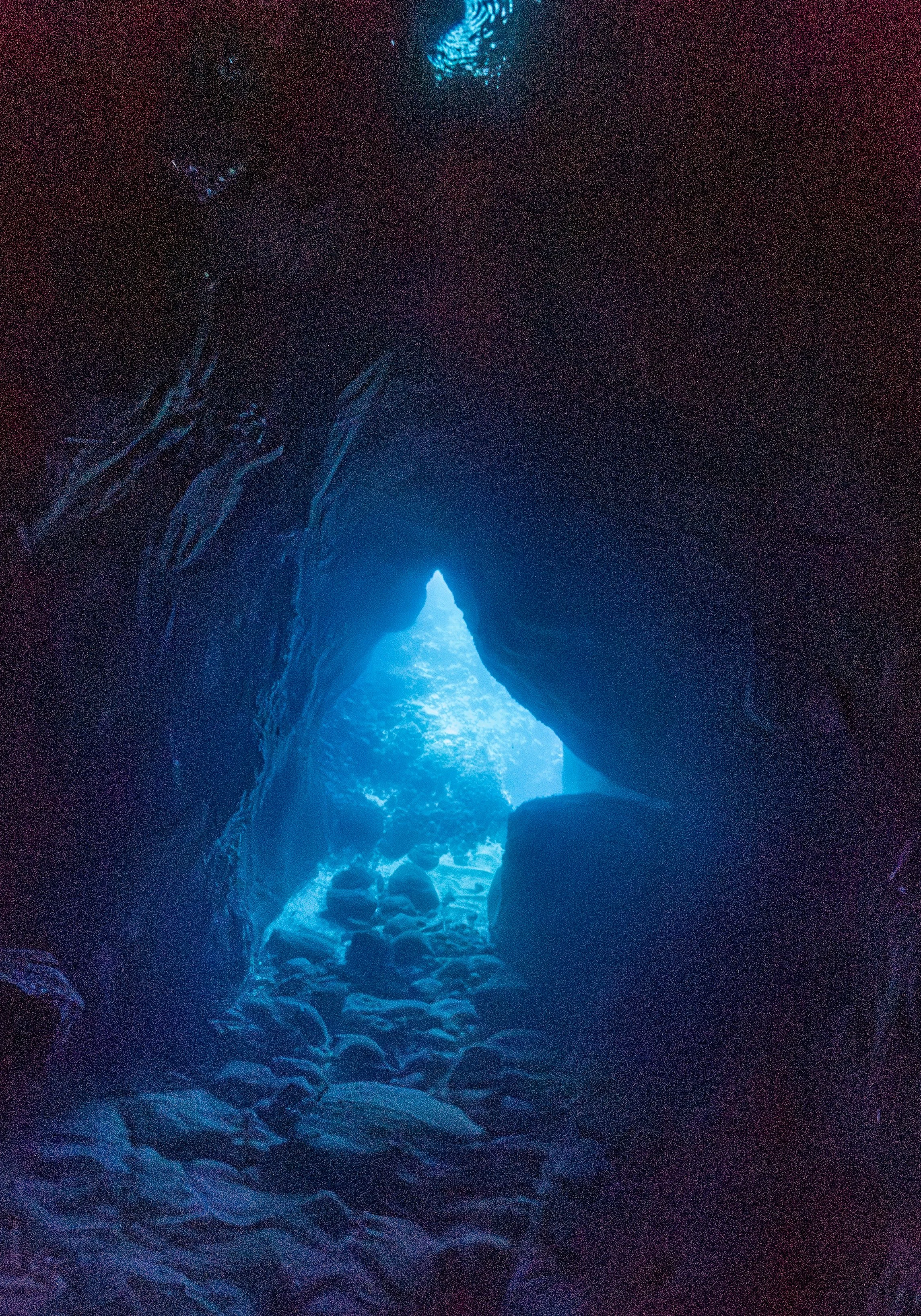 Bat Cave-7-2.jpg
