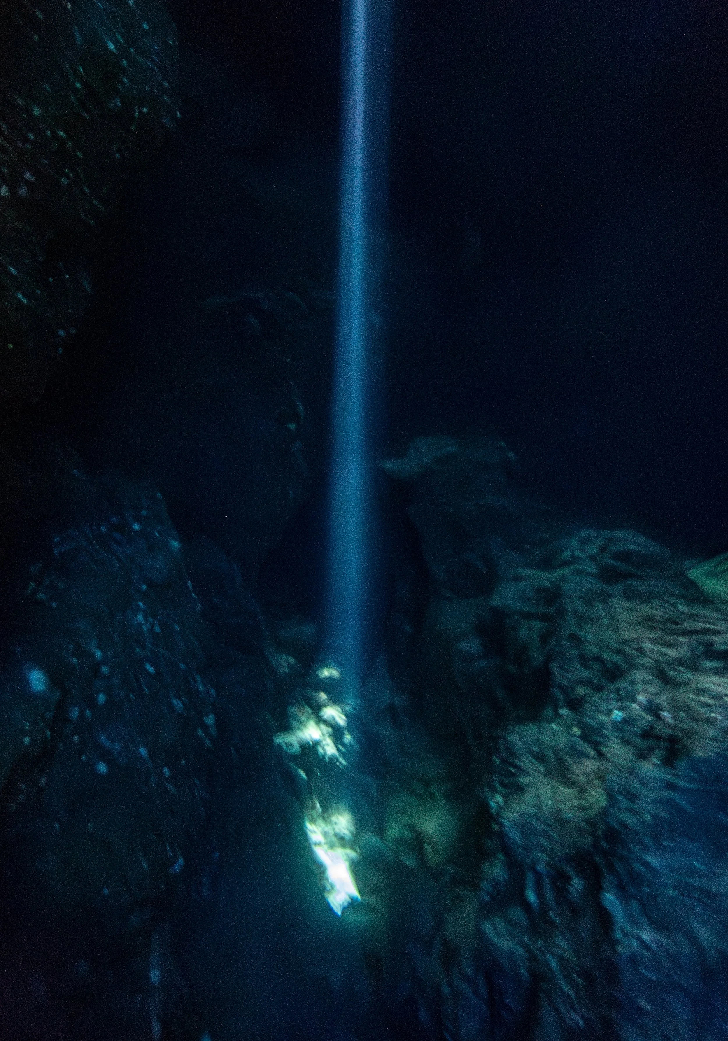 Bat Cave-8-2.jpg