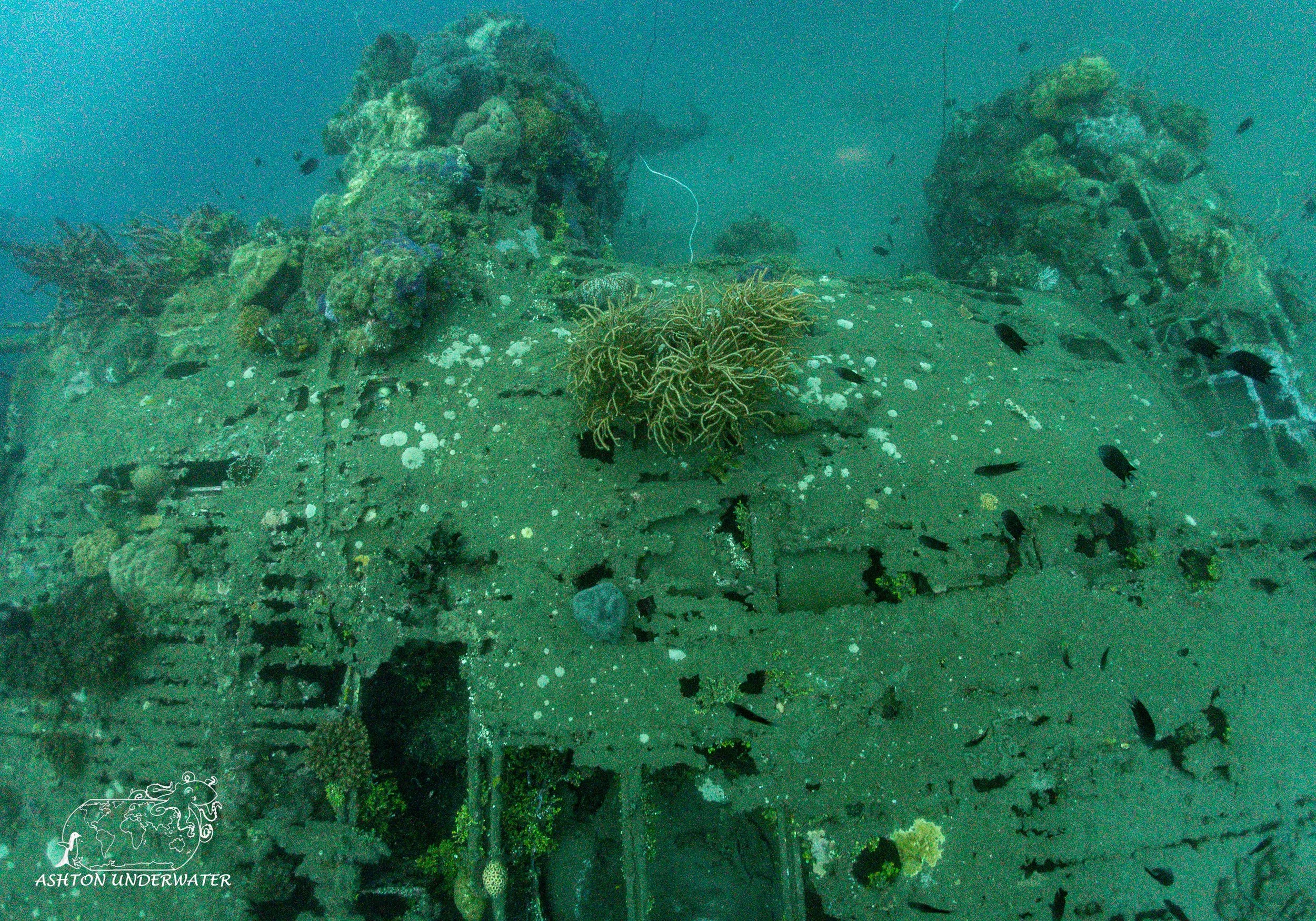 B 17.jpg