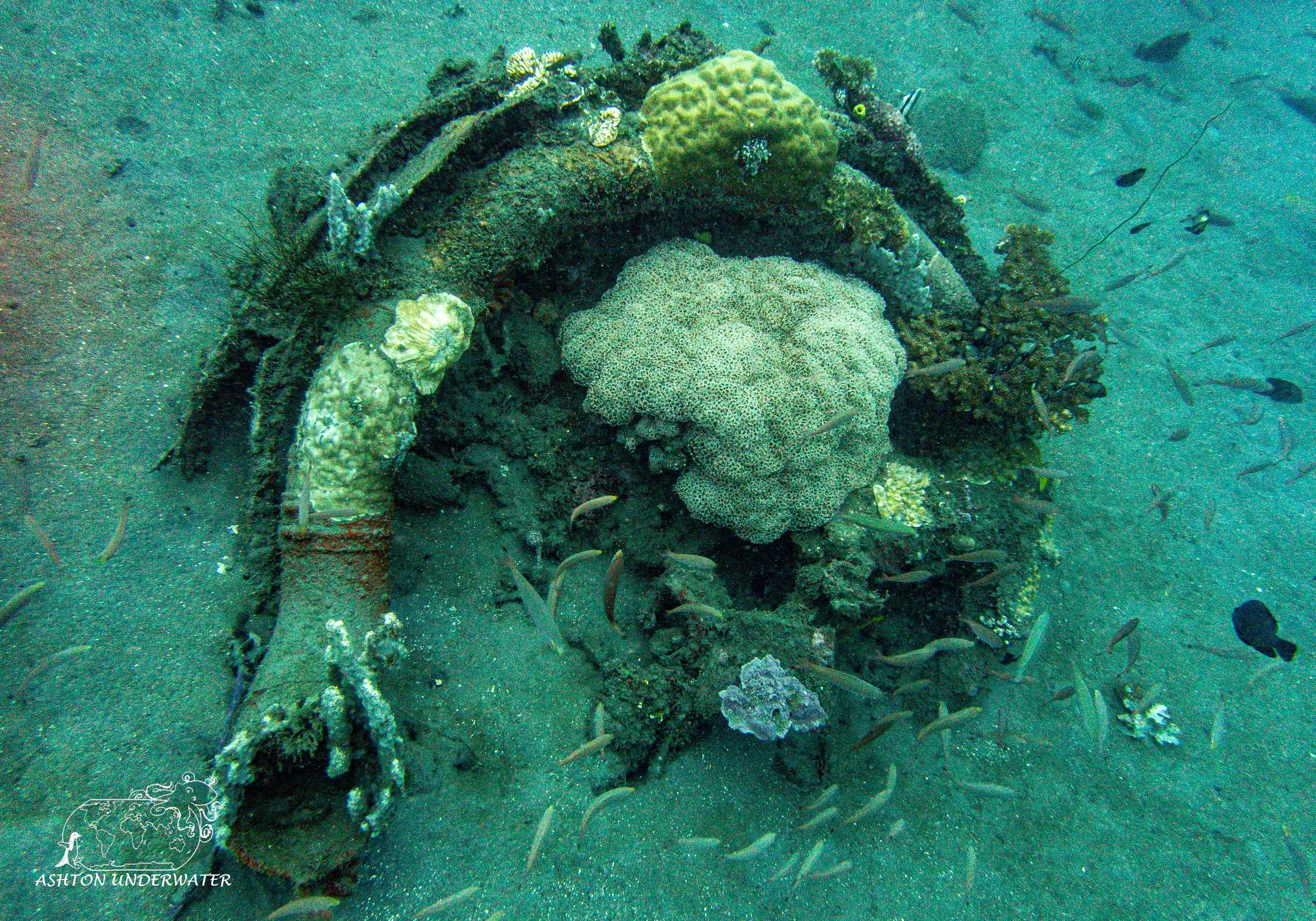 B 17-2.jpg
