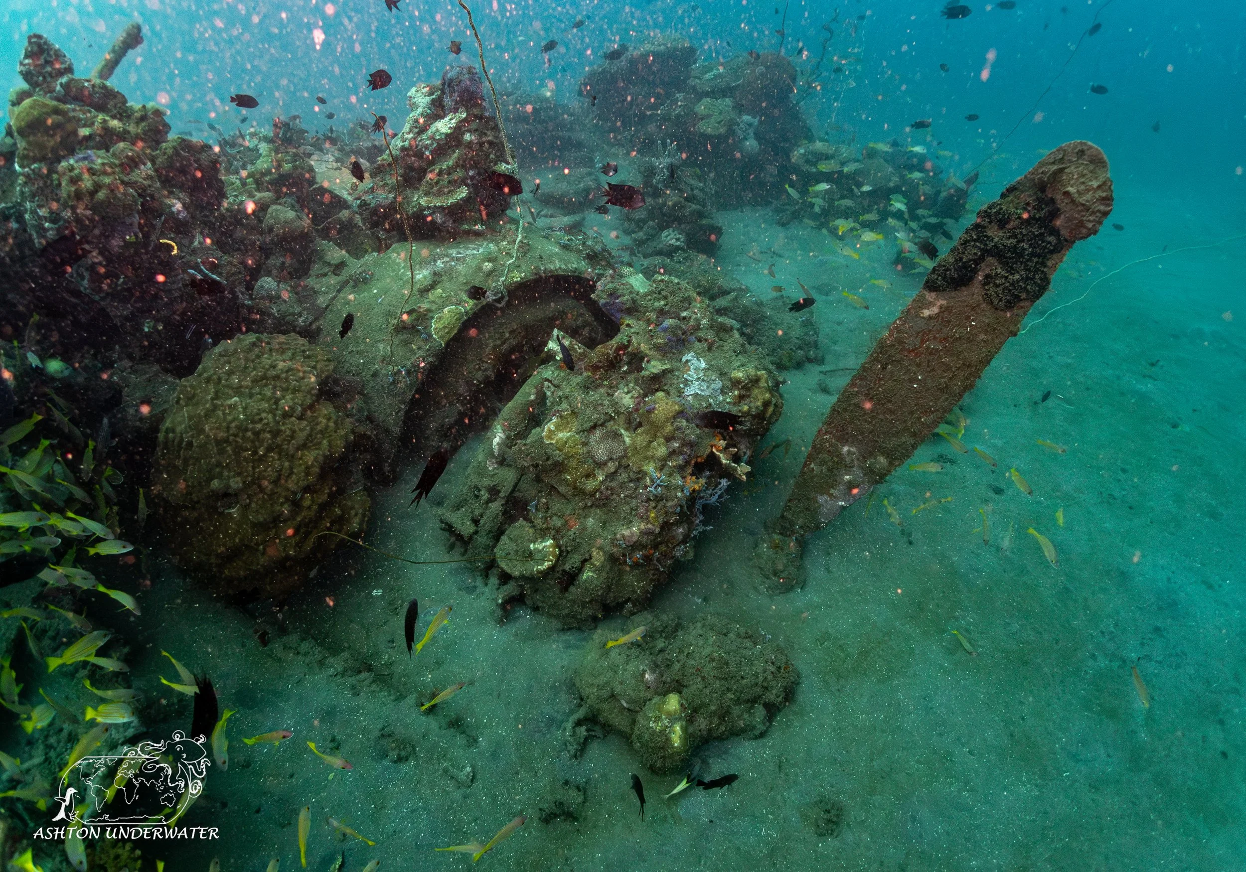 B 17-6.jpg