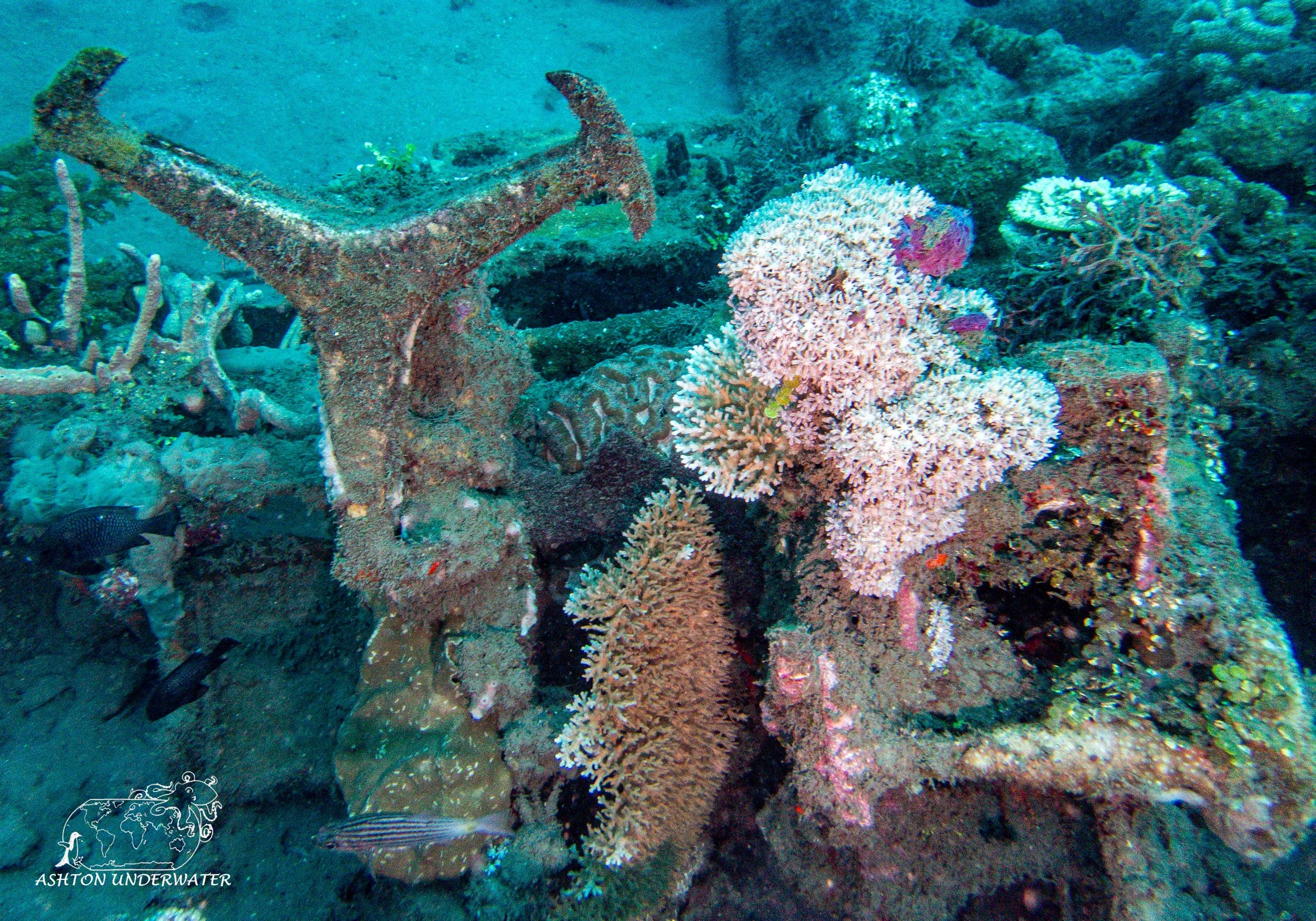 B 17-15.jpg