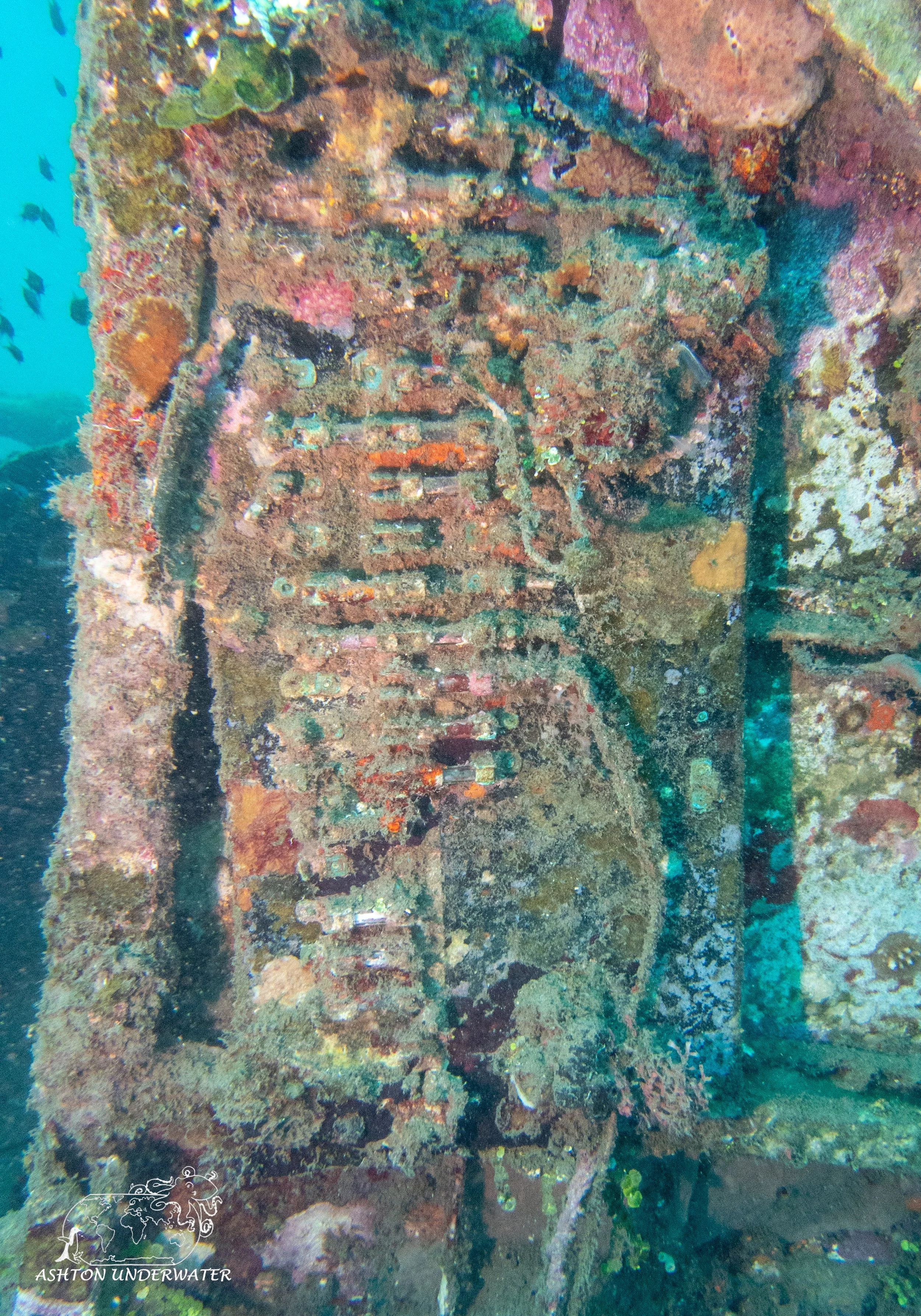 B 17-16.jpg