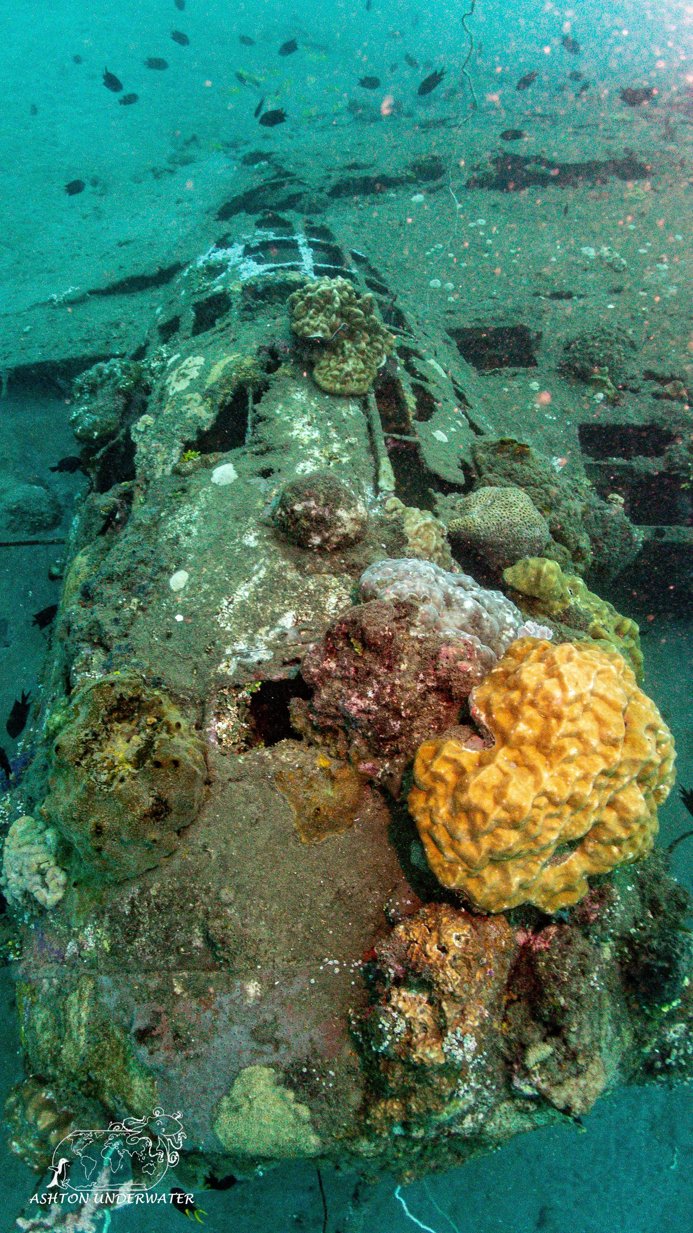 B 17-28.jpg