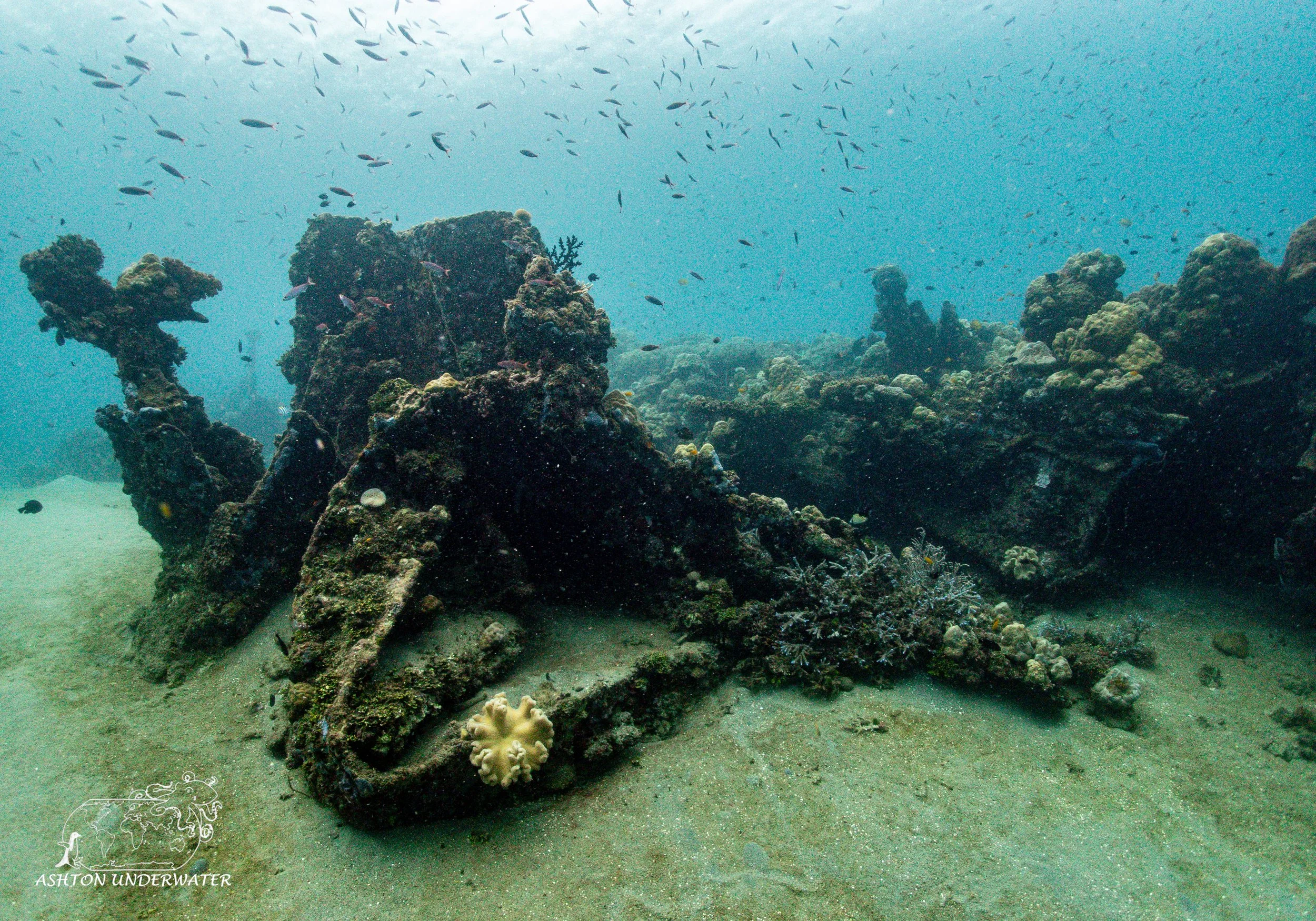 Hirokawa Maru (B-1)-2.jpg