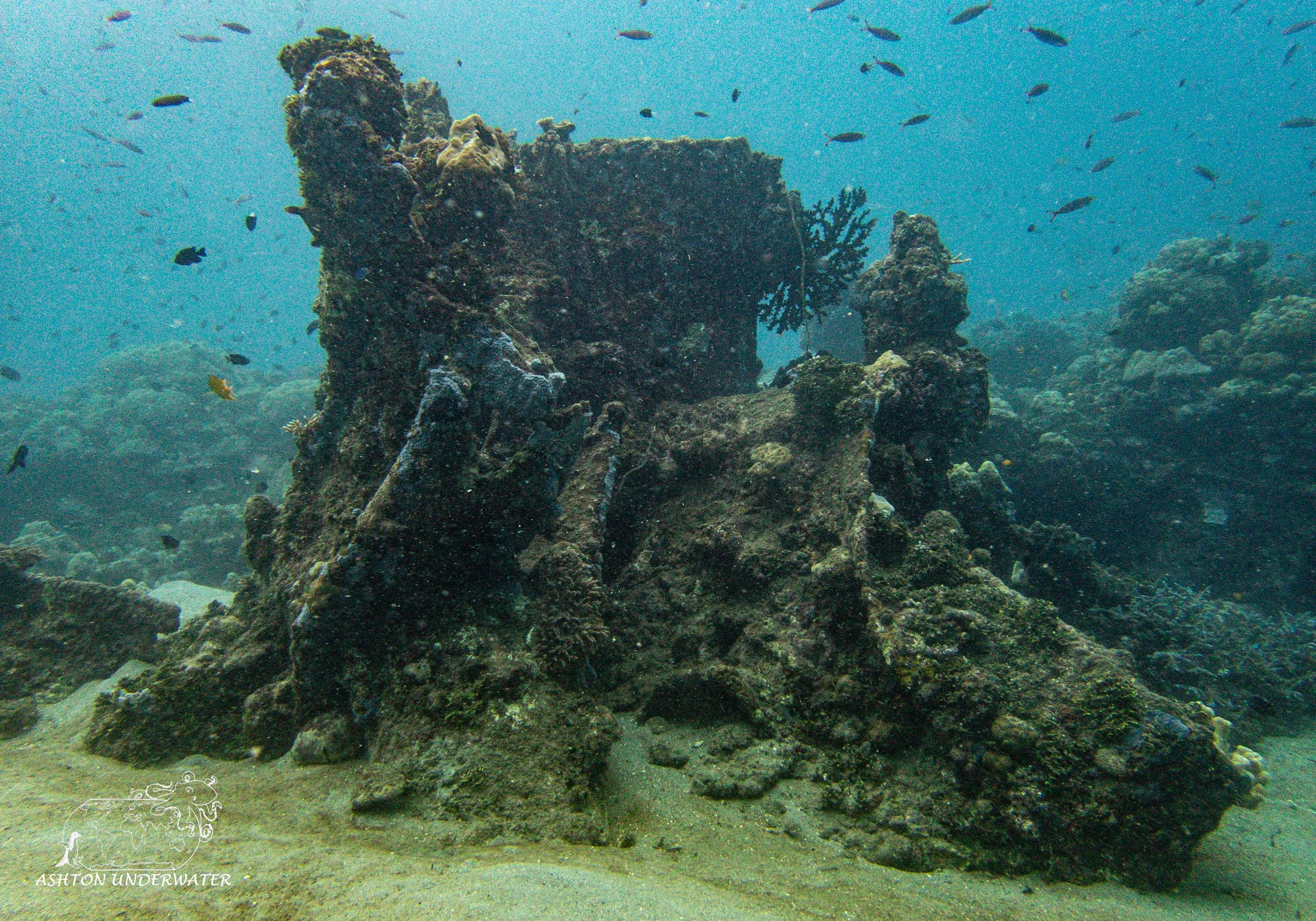 Hirokawa Maru (B-1).jpg