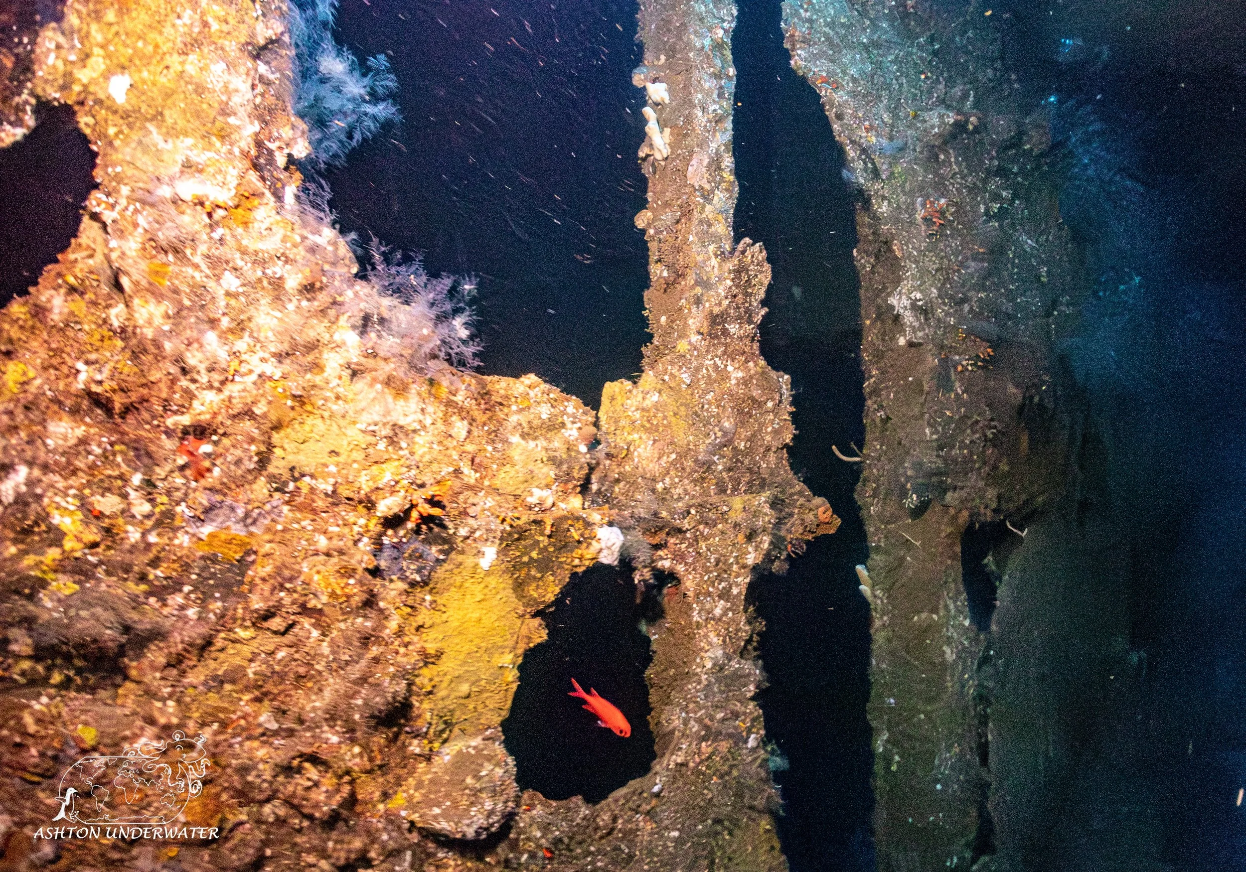 Hirokawa Maru (B-1)-10.jpg