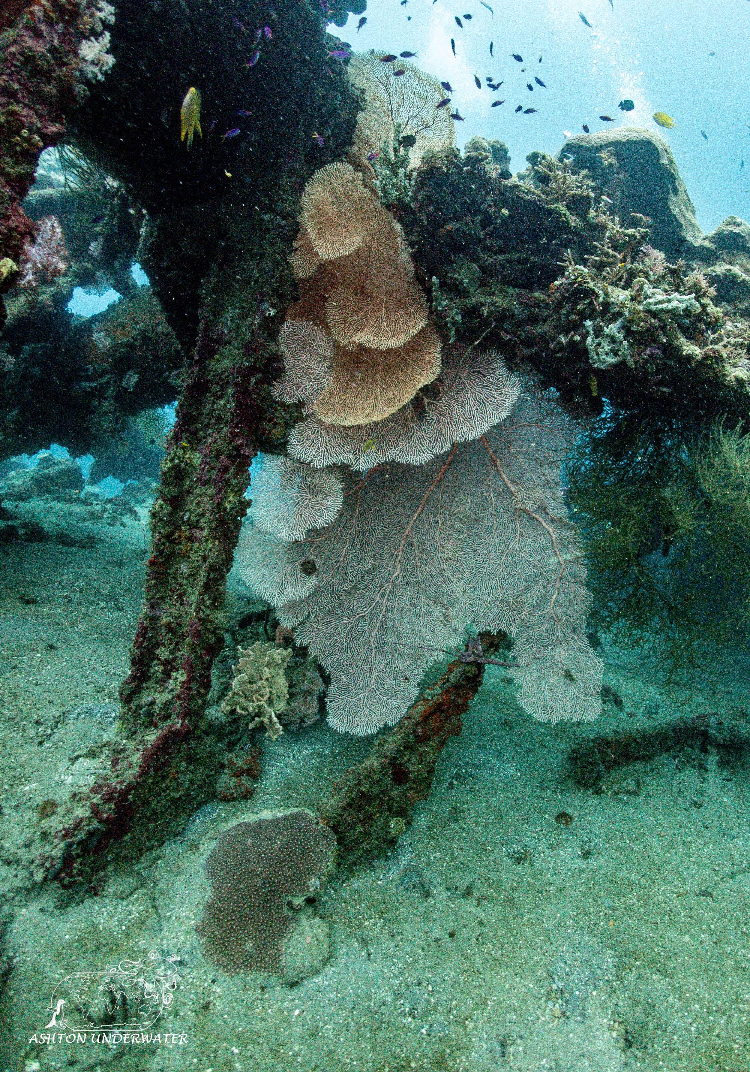 Hirokawa Maru (B-1)-28.jpg