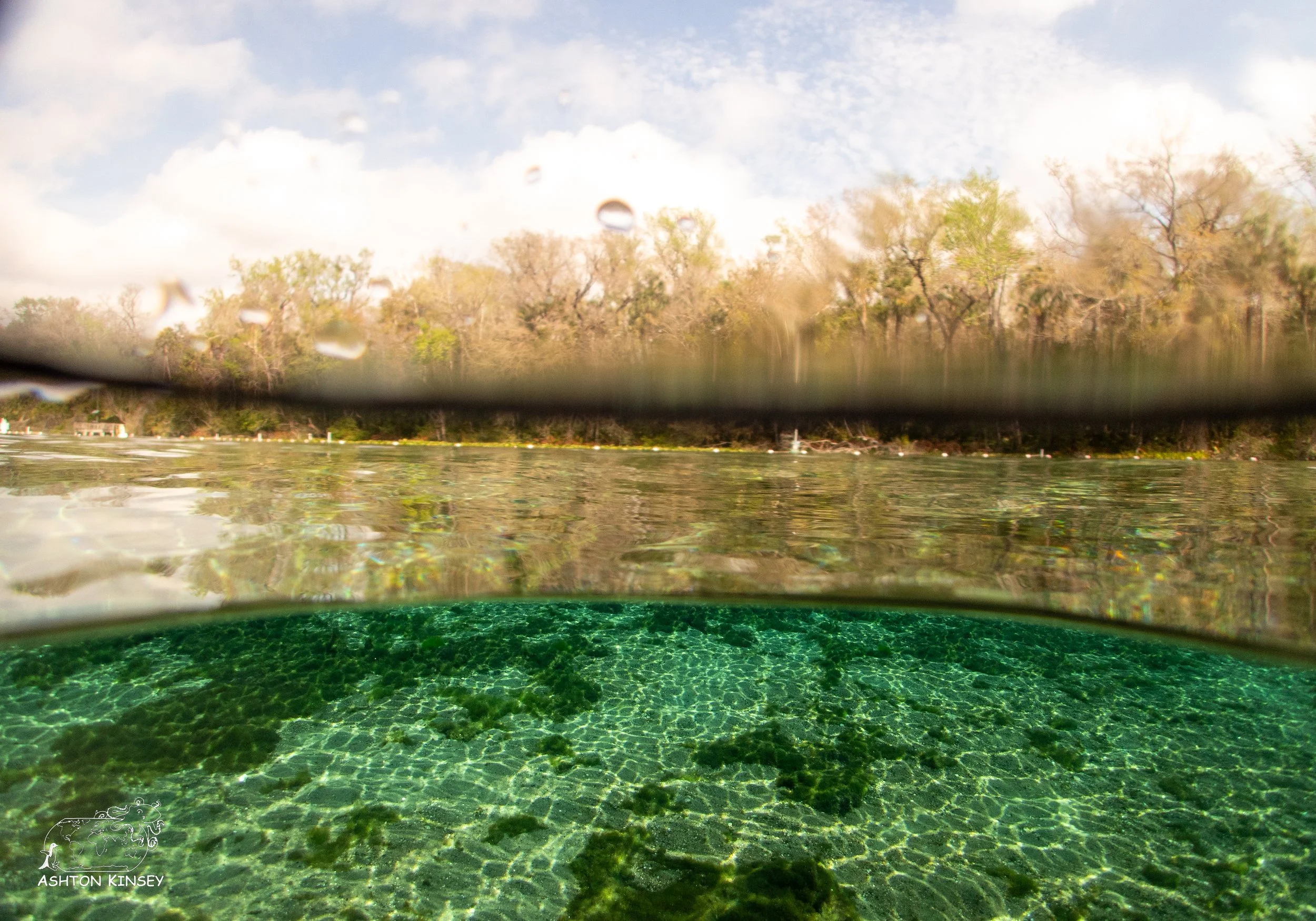 Alexander Springs 2.jpg