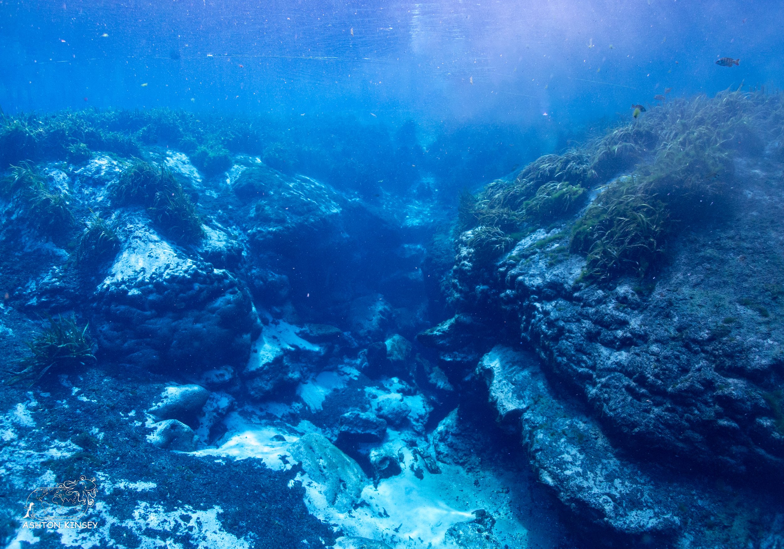 Alexander Springs-2.jpg