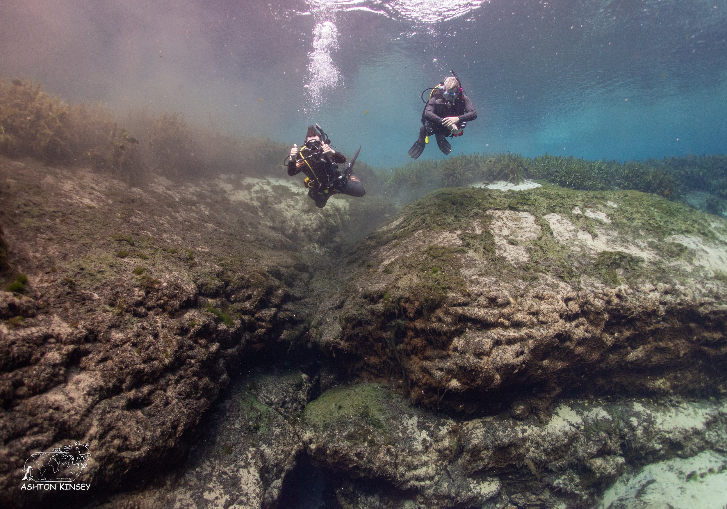 Alexander Springs-4.jpg