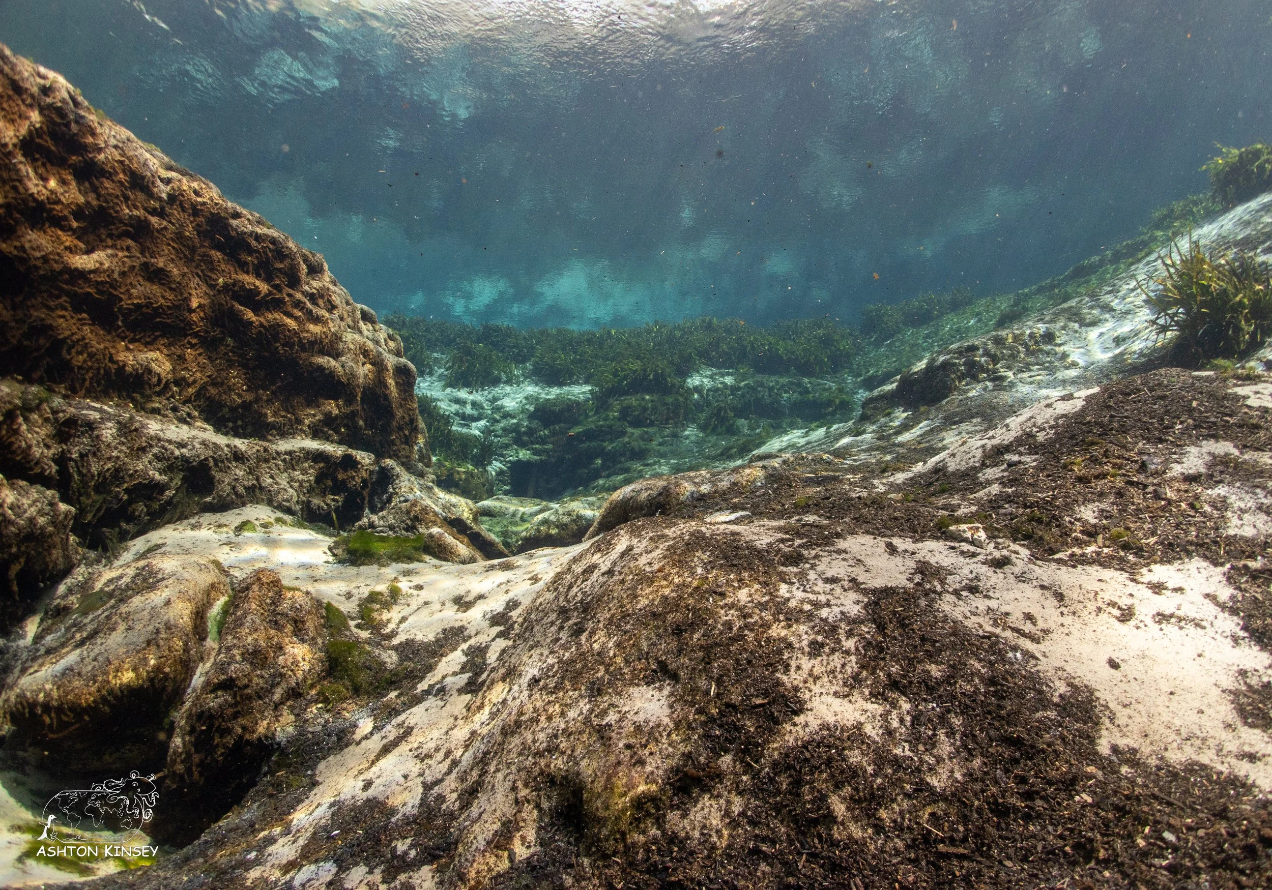Alexander Springs-6.jpg