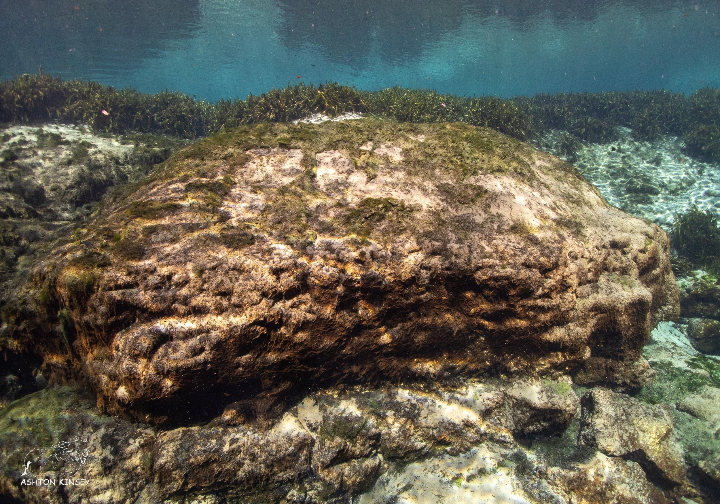 Alexander Springs-9.jpg
