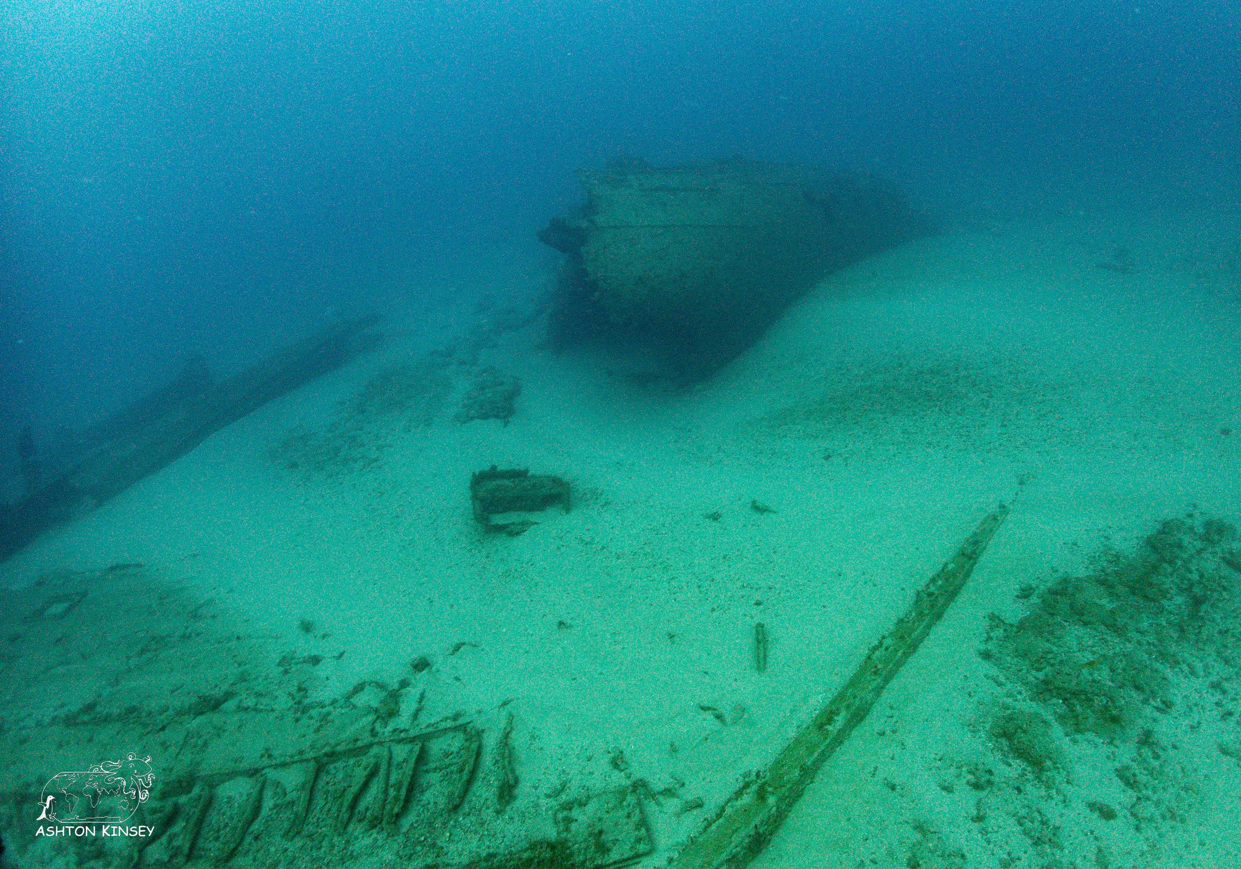 Shark Dive-3.jpg