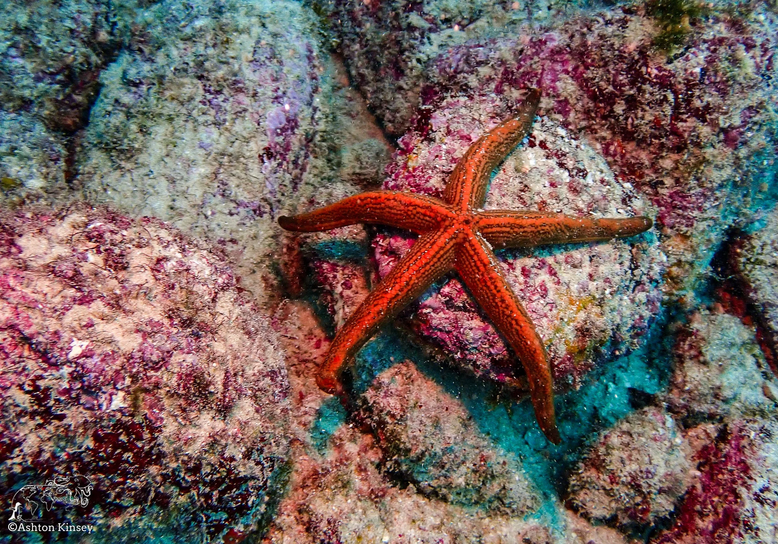 Baltra Island-5.jpg