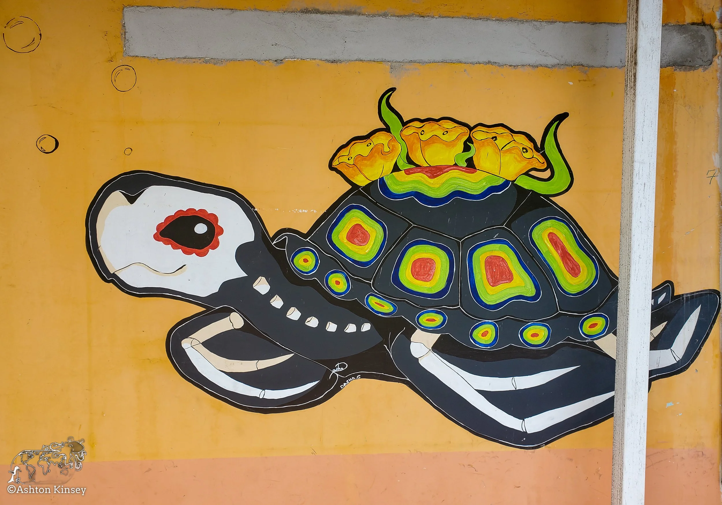 San Cristobal-9.jpg