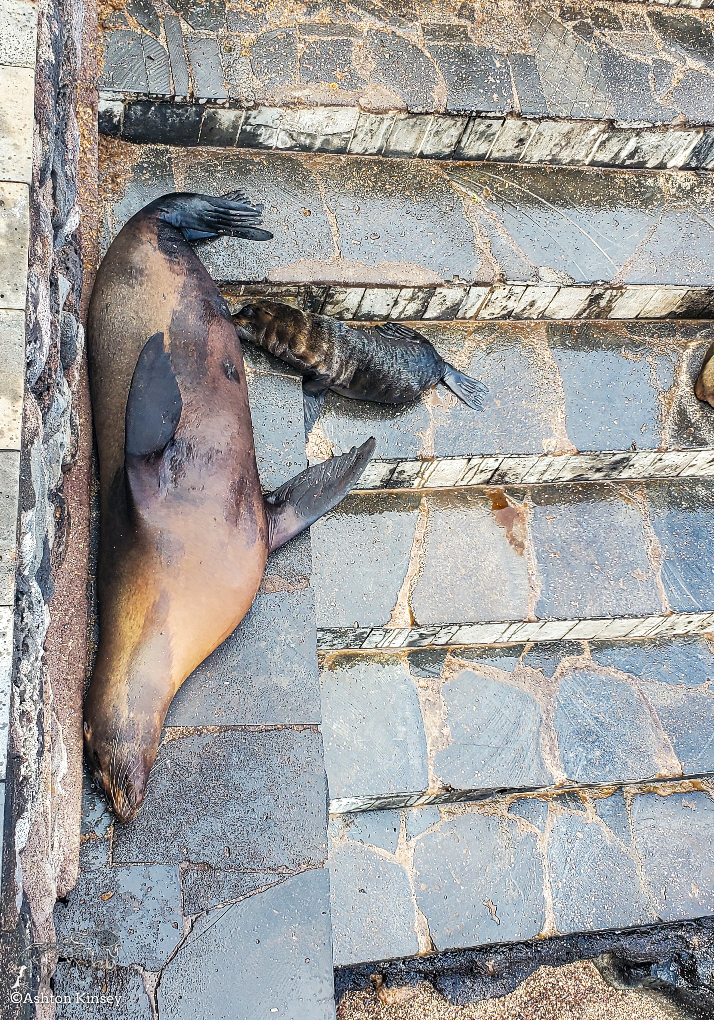 San Cristobal-11.jpg