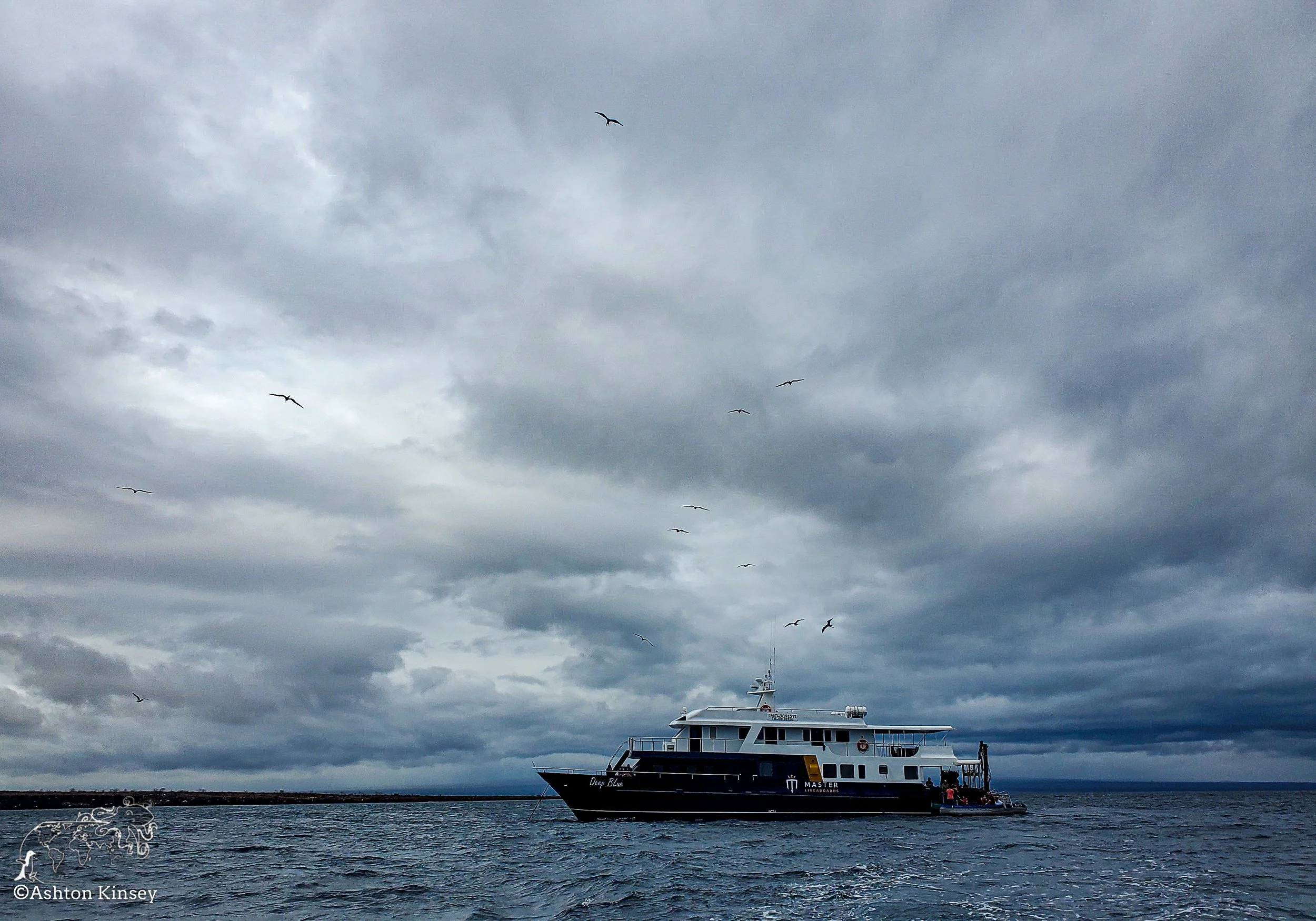 North Seymore Island-1.jpg