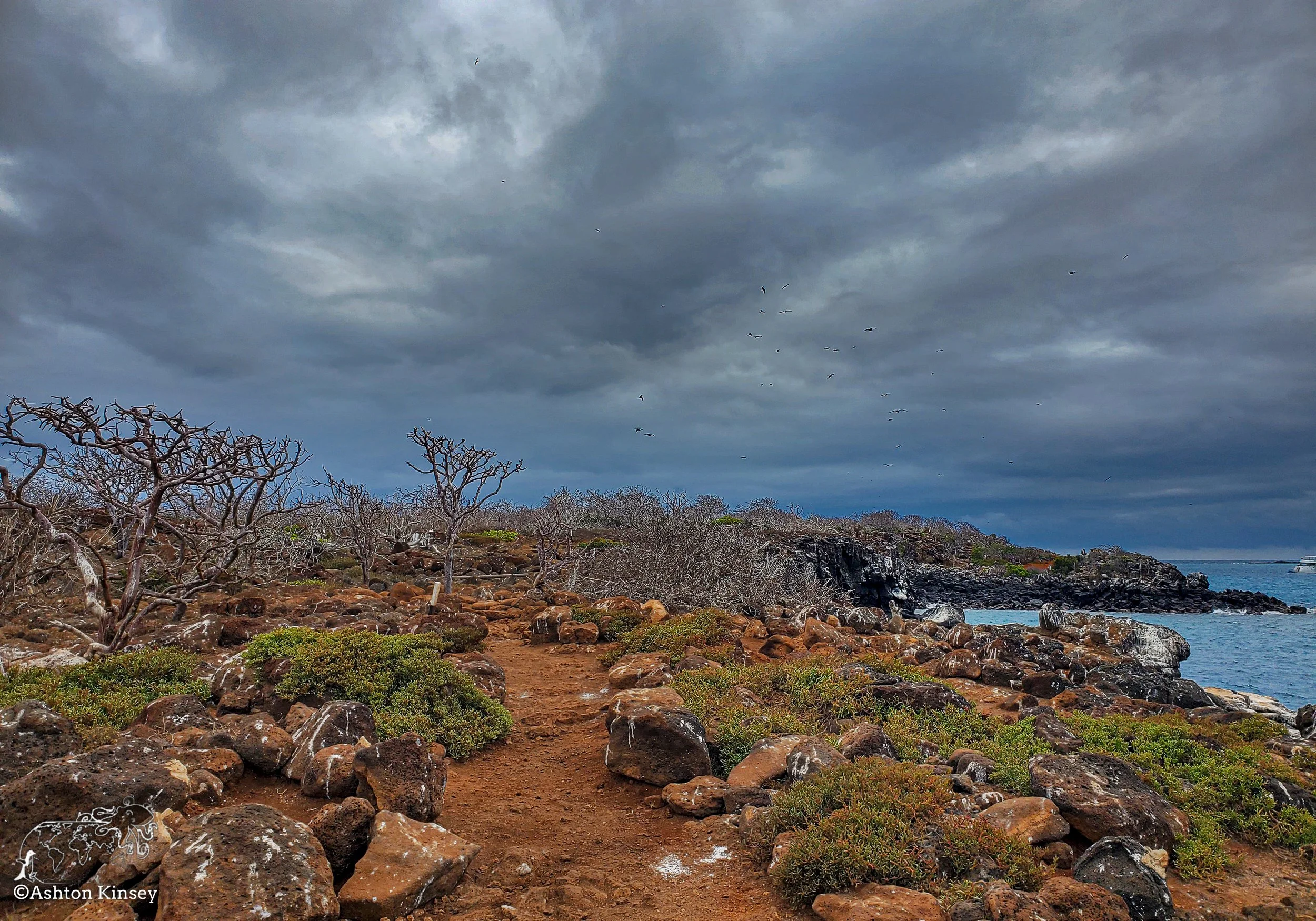 North Seymore Island-7.jpg