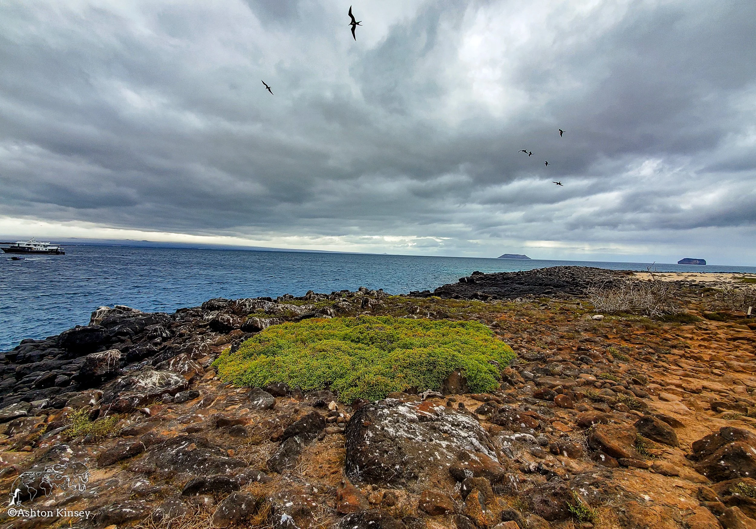 North Seymore Island-25.jpg