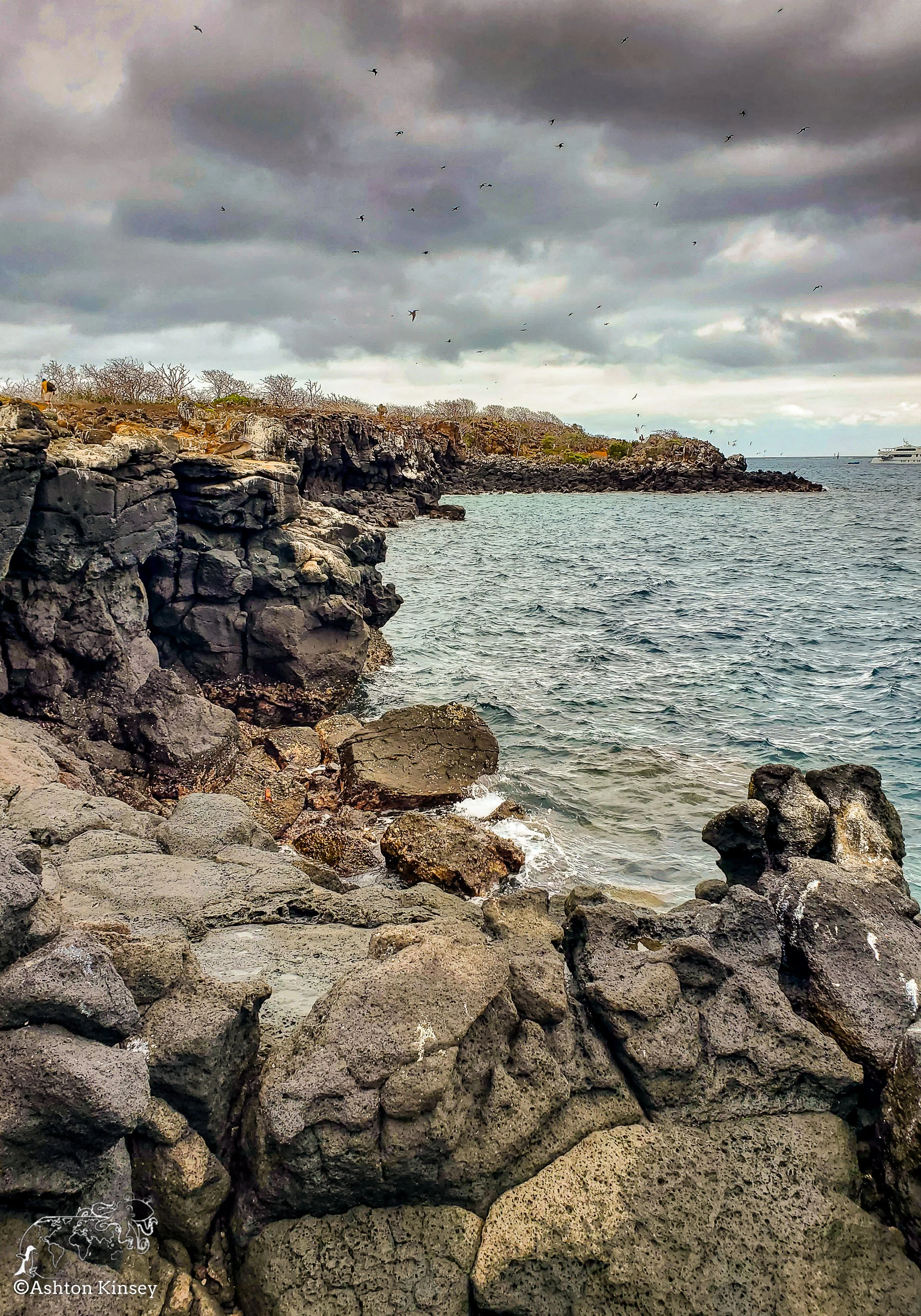 North Seymore Island-27.jpg