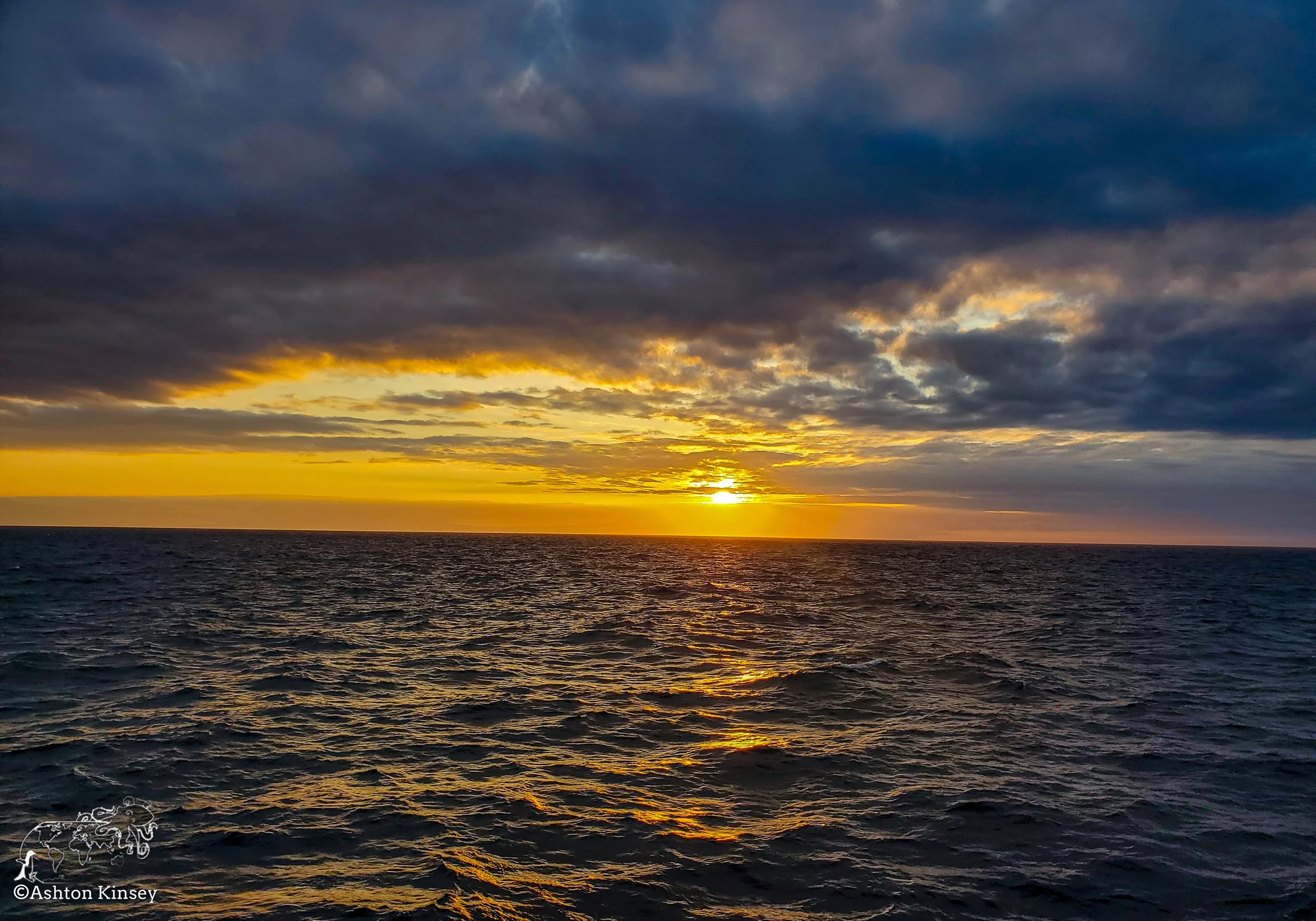 Darwin Island-1.jpg