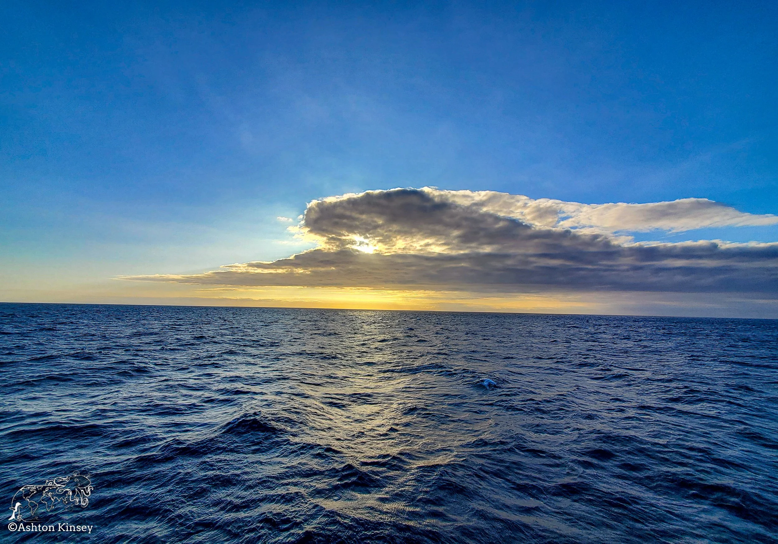 Darwin Island-2.jpg