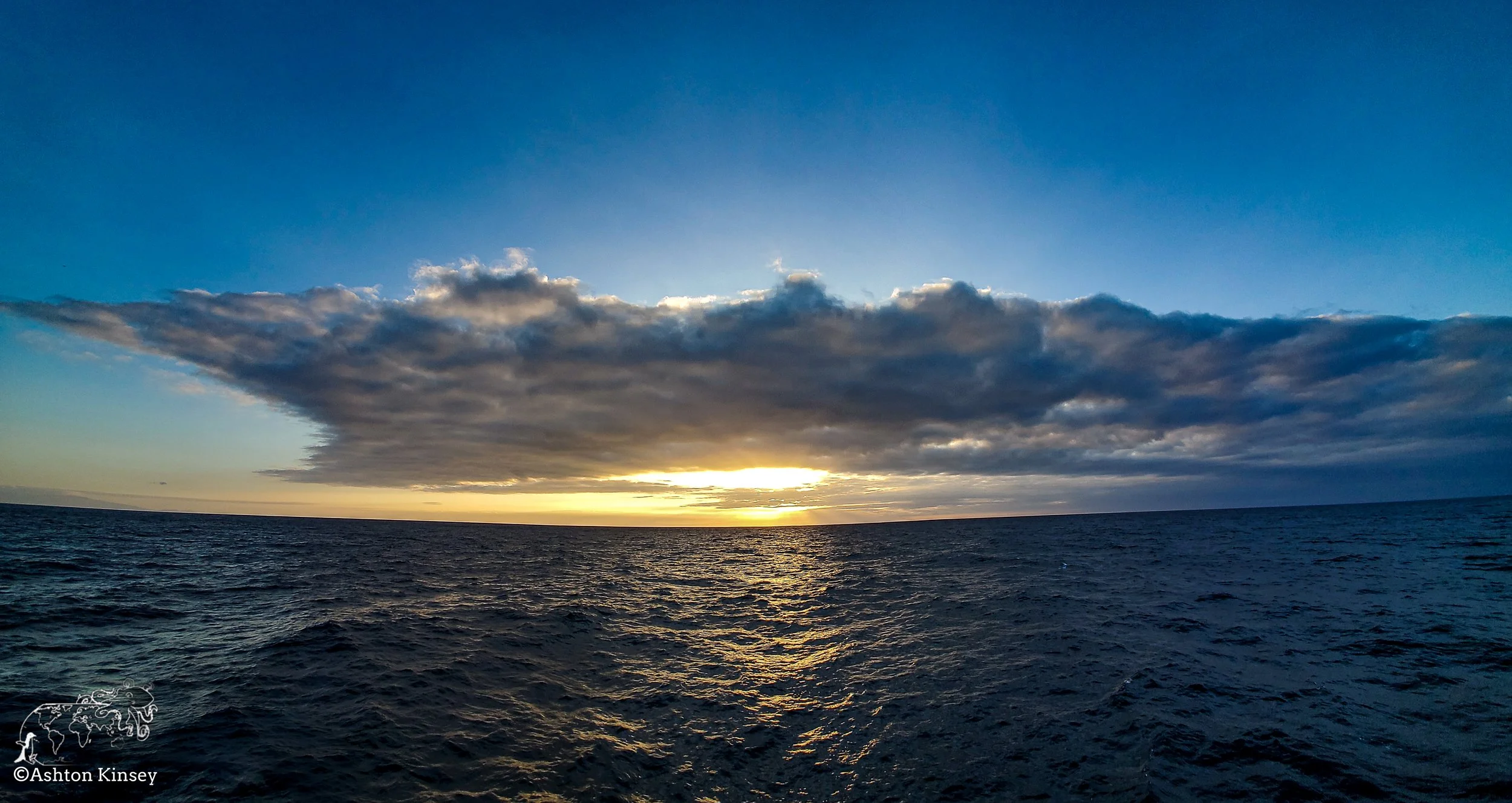 Darwin Island-3.jpg