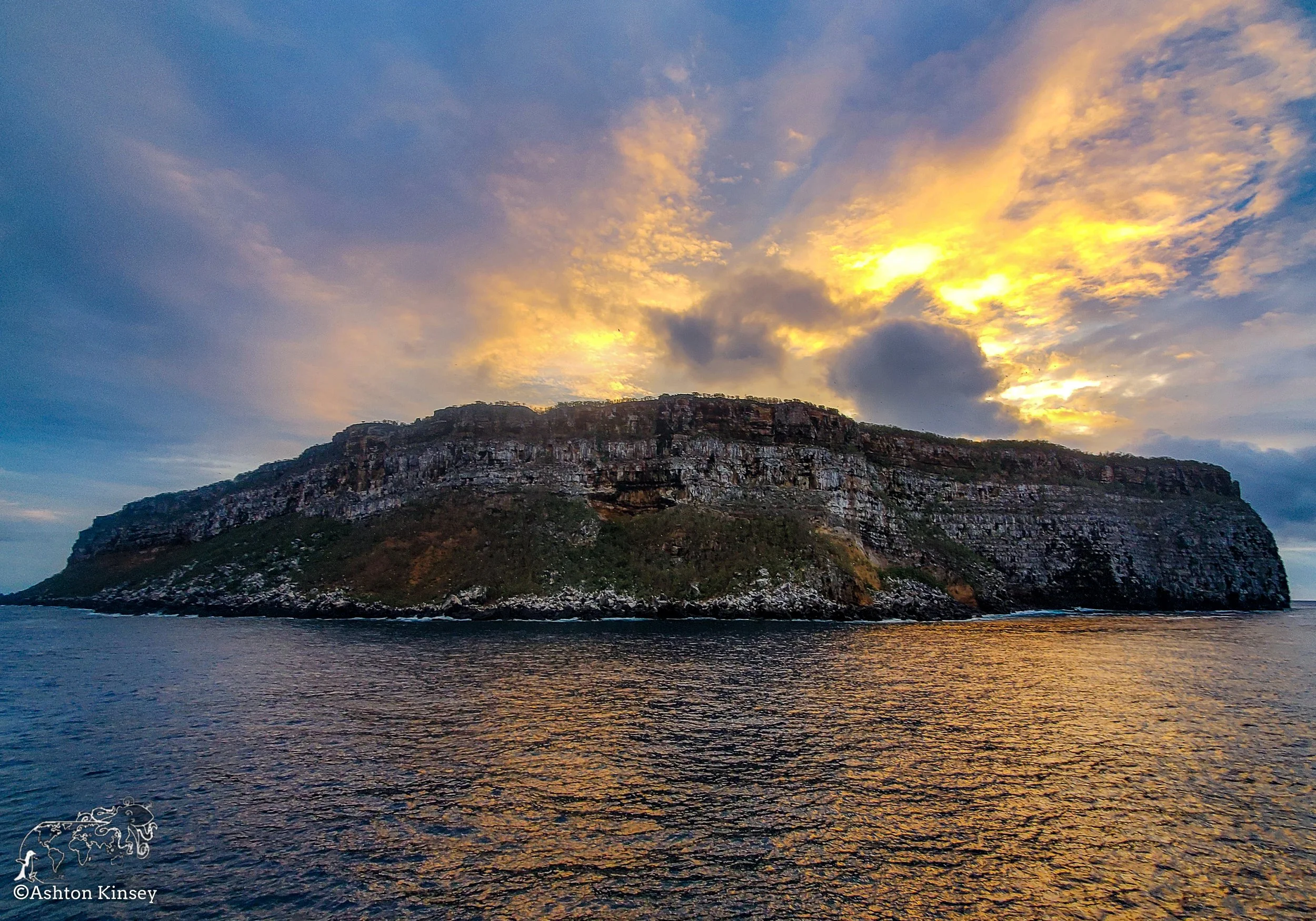 Darwin Island-9.jpg