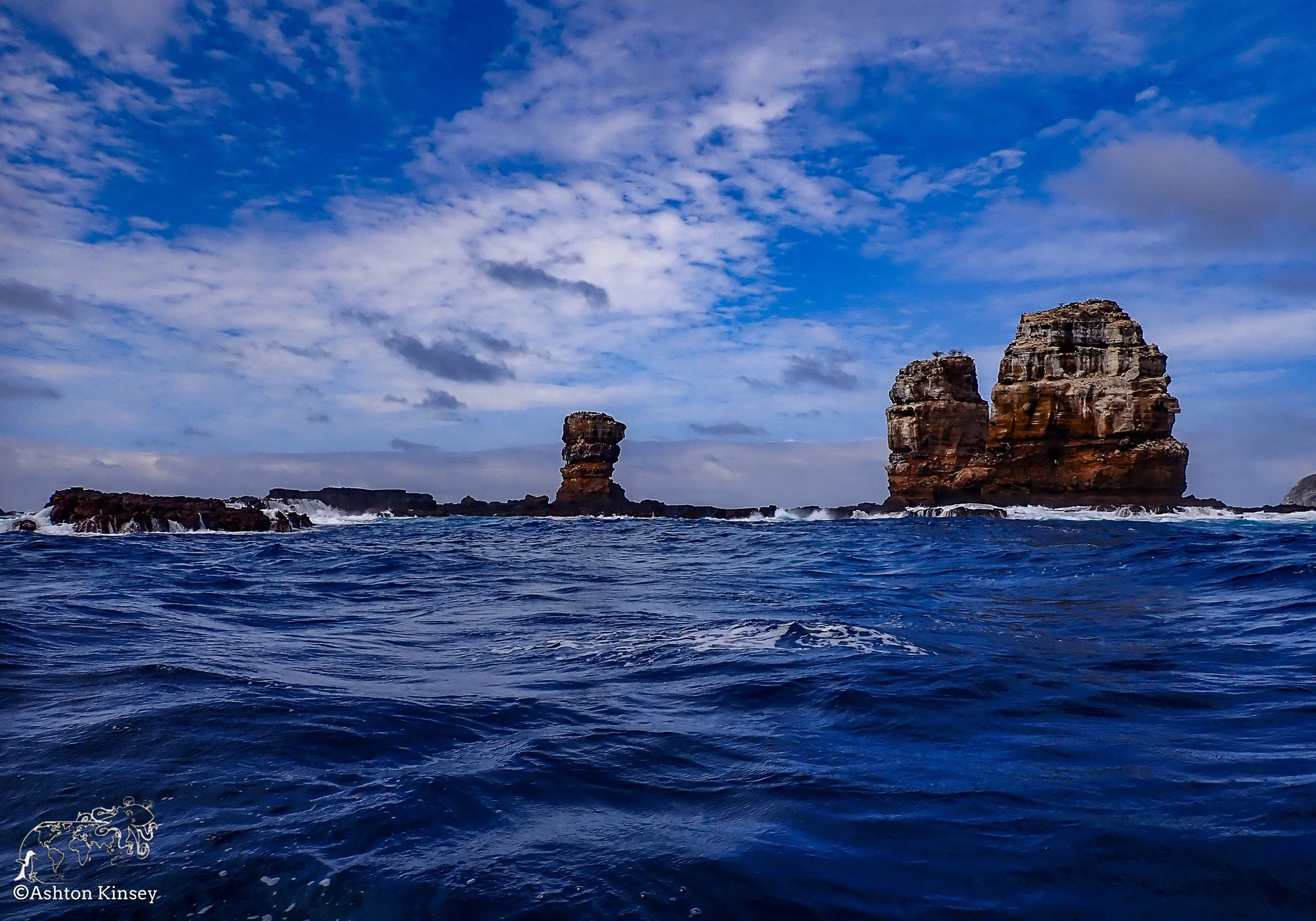 Darwin Island-Diving-8.jpg