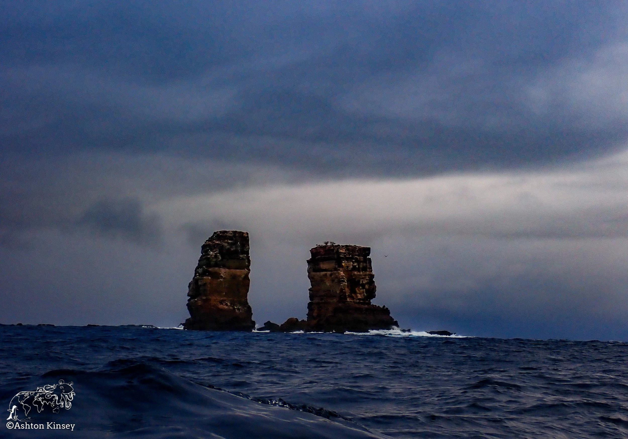 Darwin Island 4-Diving-9.jpg