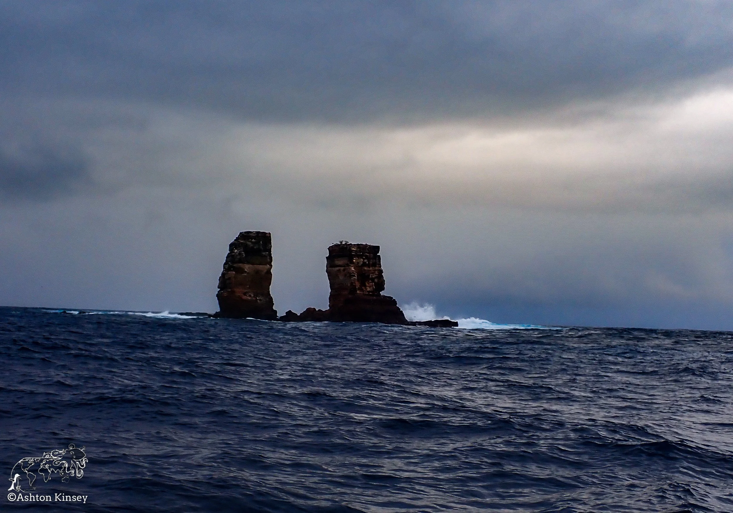 Darwin Island 4-Diving-10.jpg
