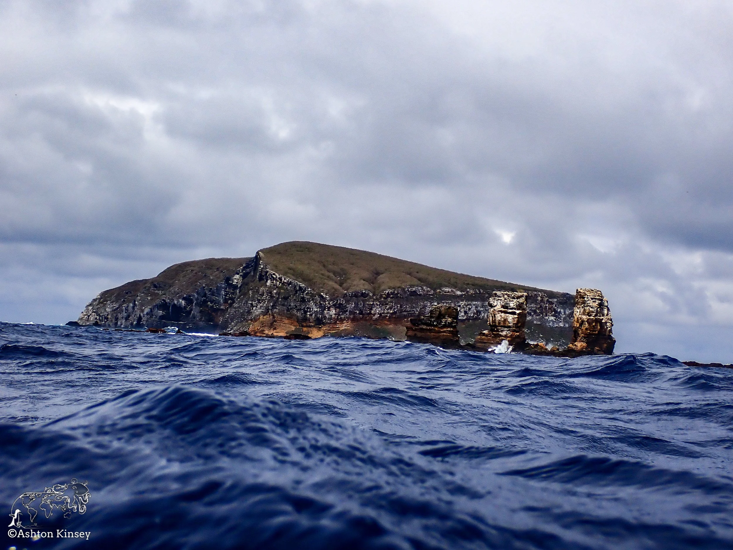 Darwin Island 6-Diving-14.jpg