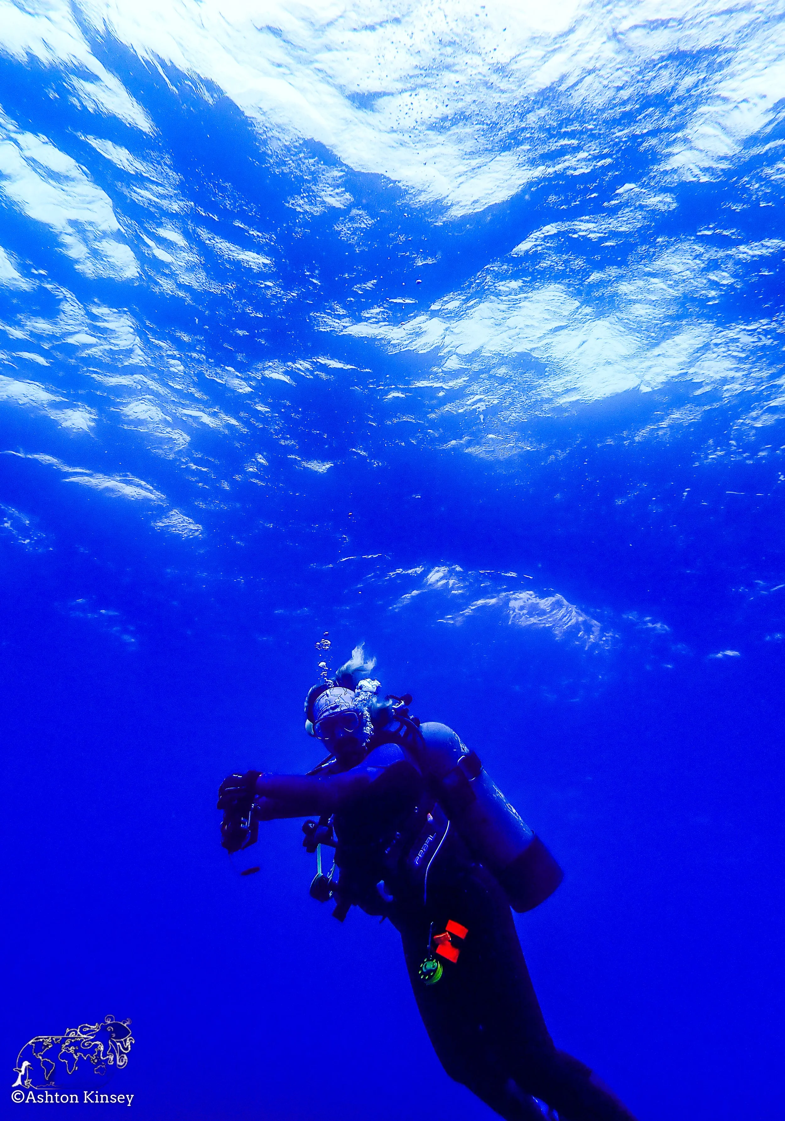 Darwin Island 7-Diving-19.jpg