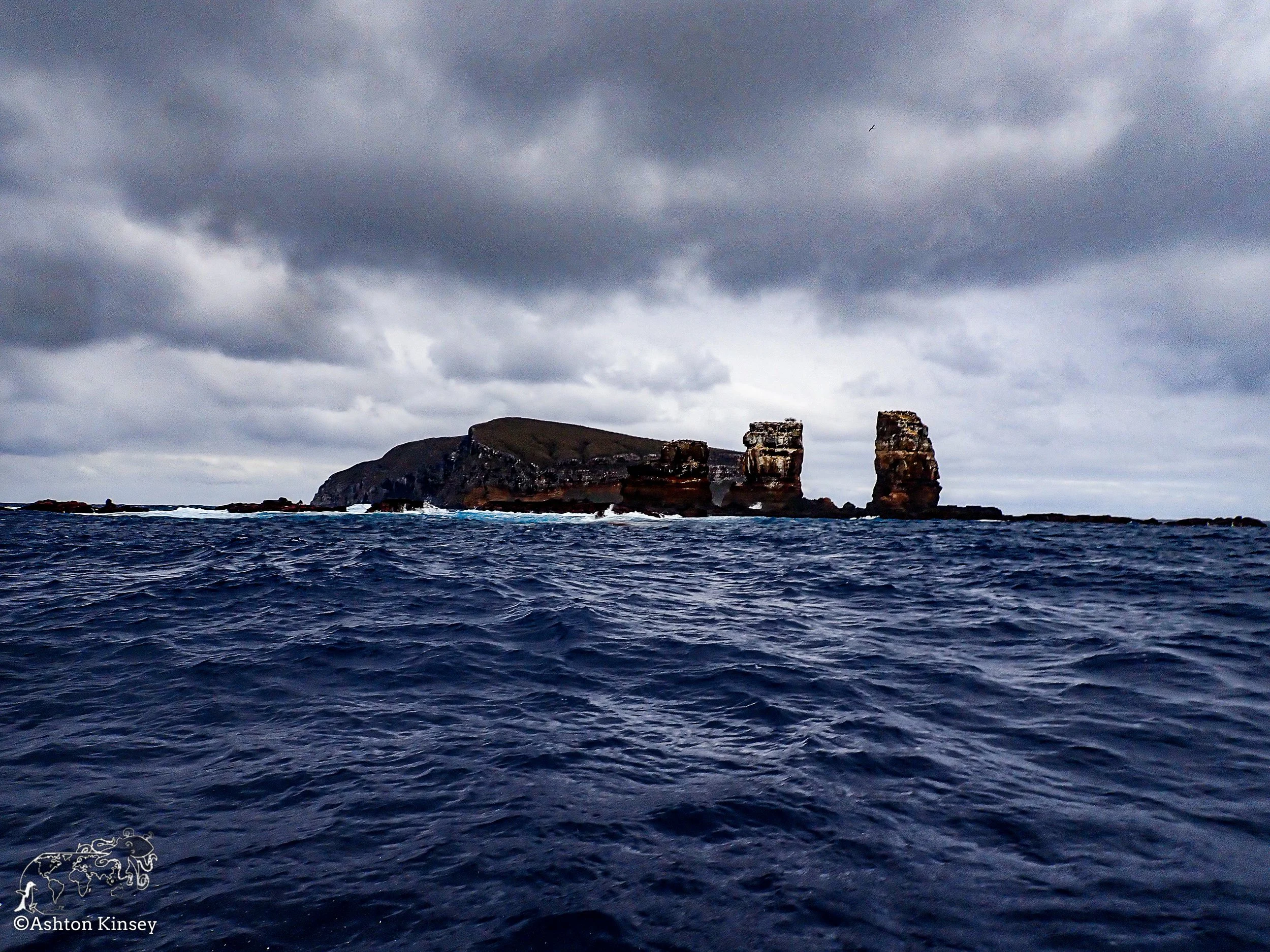 Darwin Island 9-Diving-13.jpg