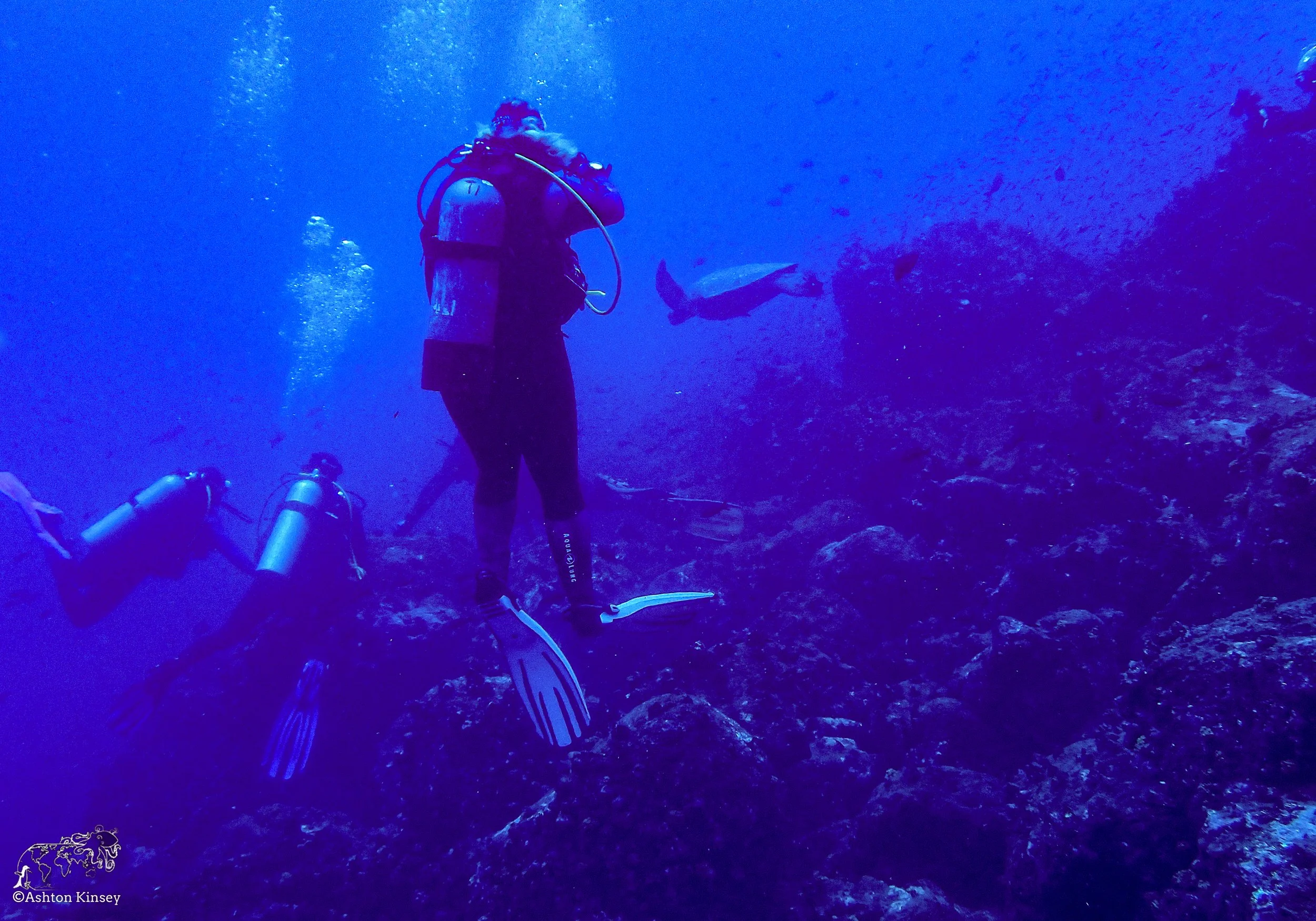 Wolf Island - Dive 15-9.jpg