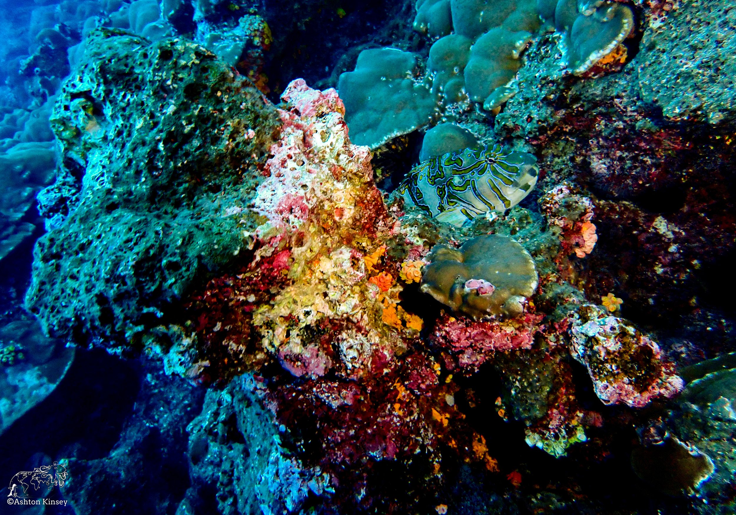 Wolf Island - Shark Bay - 25-14.jpg