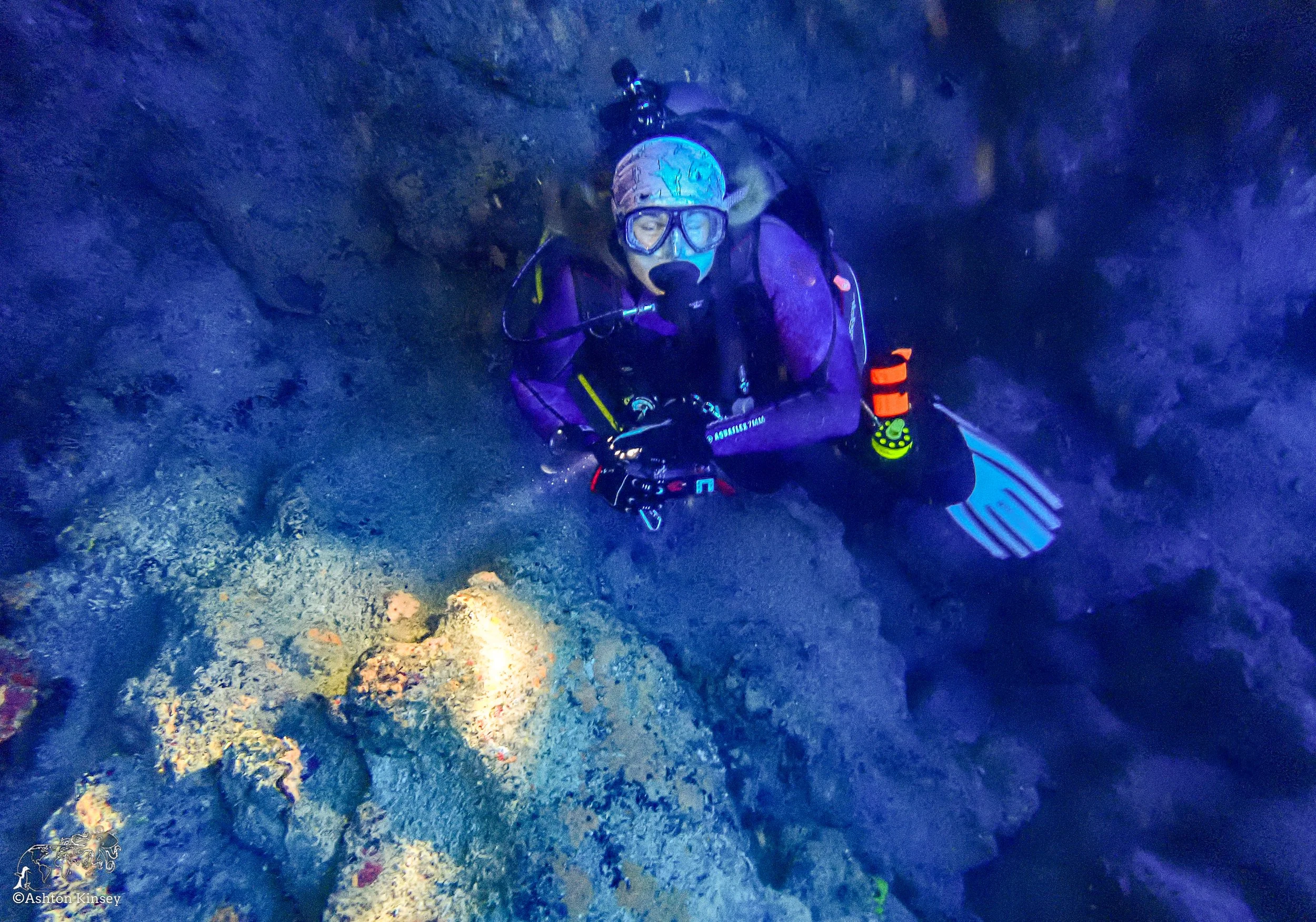Wolf Island - The Caves - Dive 20-4.jpg