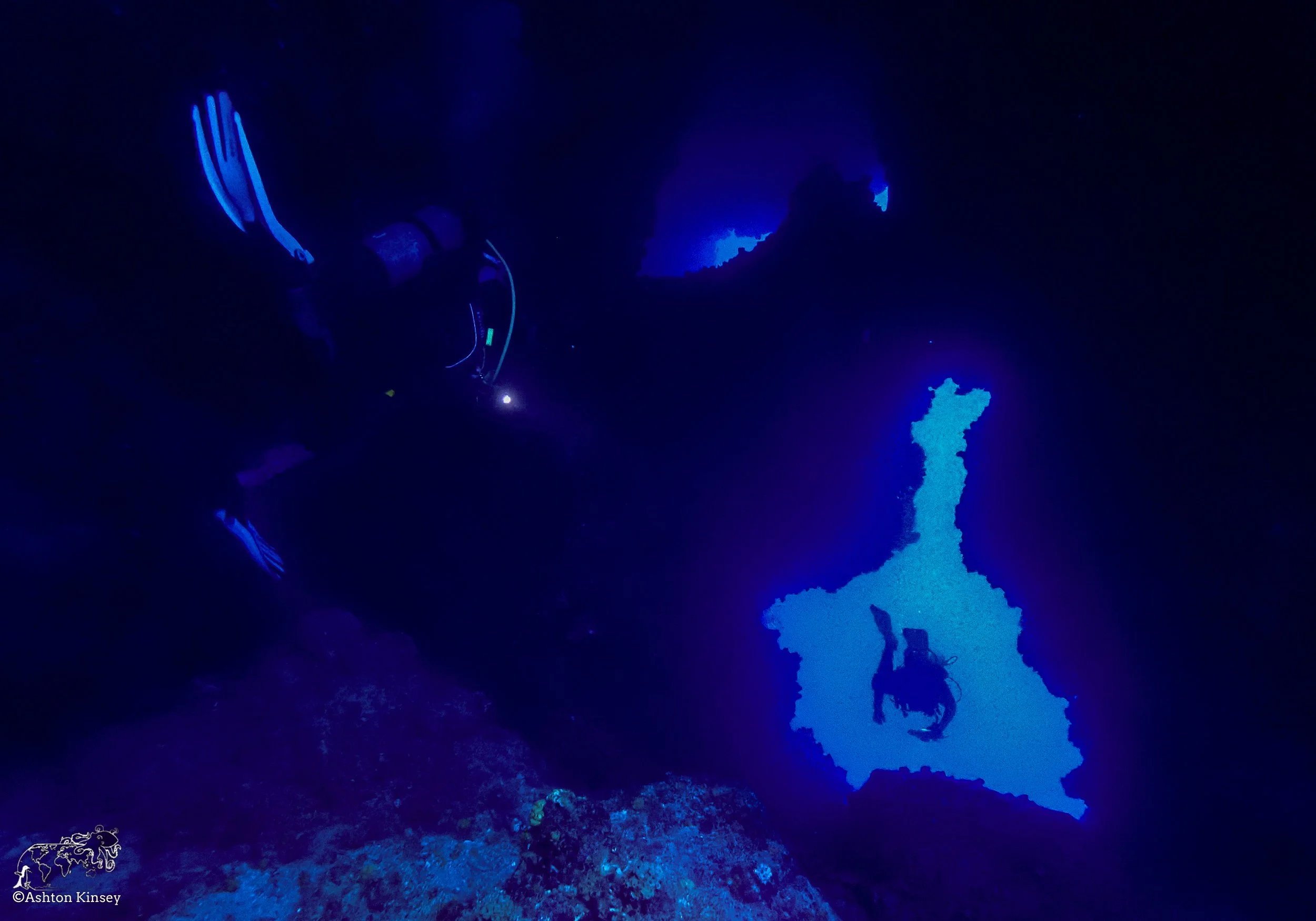 Wolf Island - The Caves - Dive 20-8.jpg